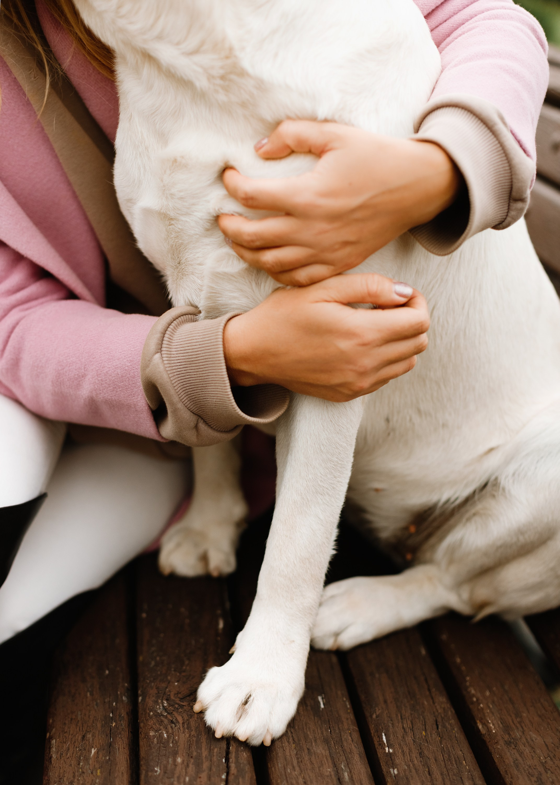 Tatiana & Tessa. Kaja | fotograf we Wrocławiu | ludzie i psy