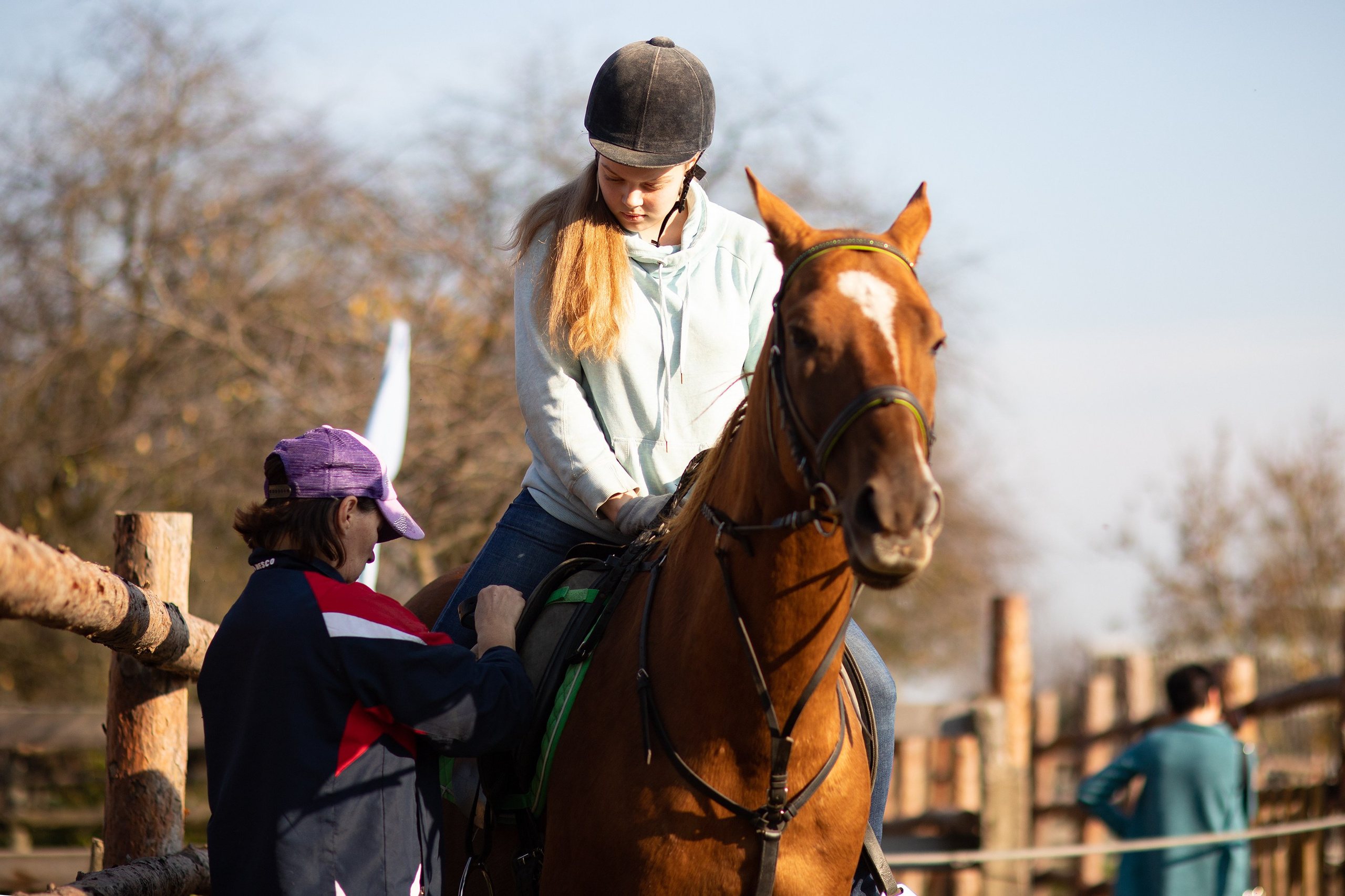 Autumn equestrian training. Kaja | fotograf psów we Wrocławiu