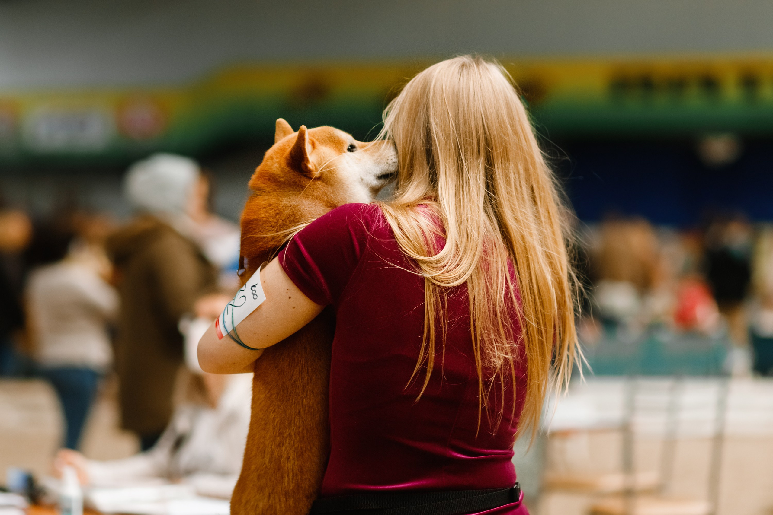 Dog shows | the best ones. Kaja | fotograf psów we Wrocławiu