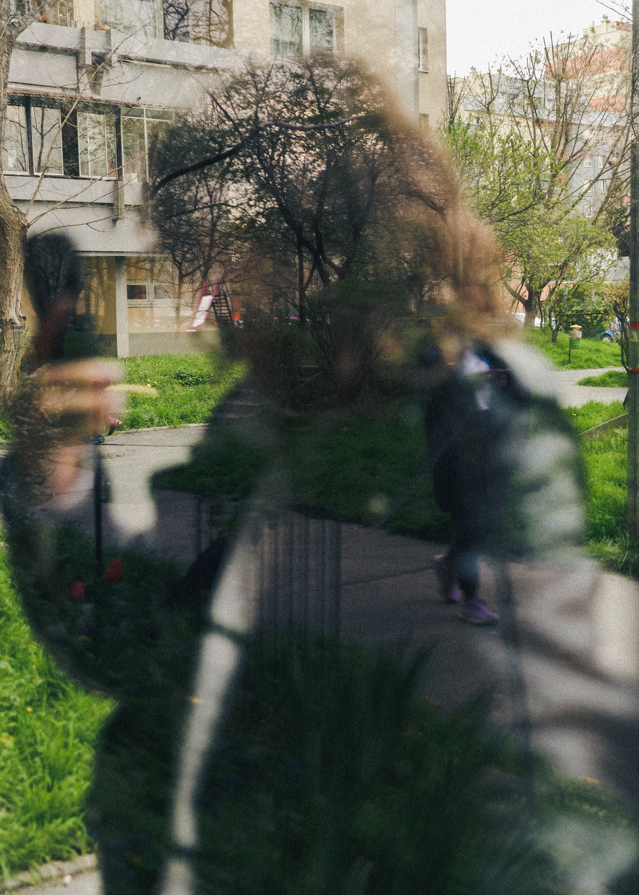 Diana. Kaja | fotograf psów we Wrocławiu