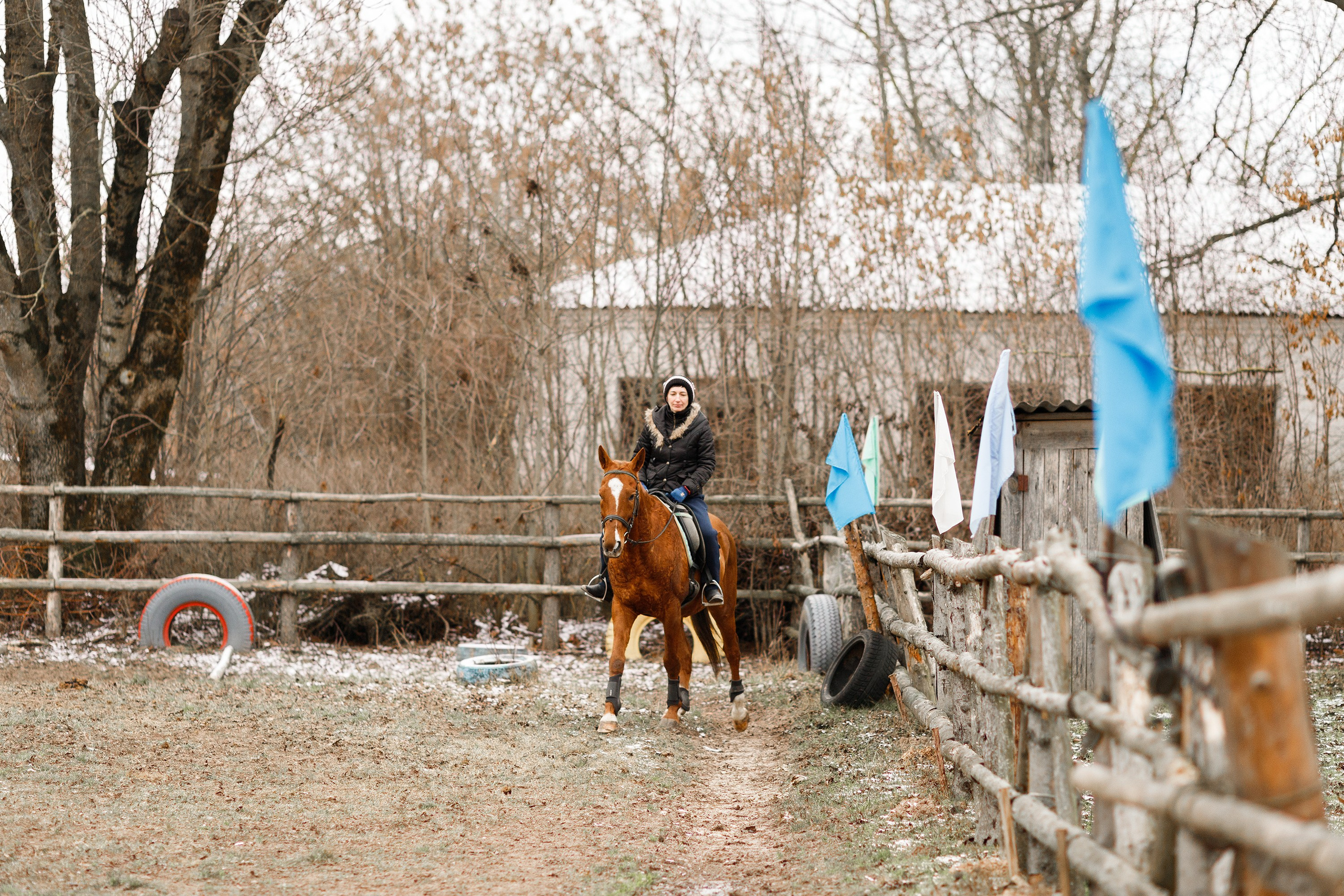 Winter stable. Kaja | fotograf psów we Wrocławiu