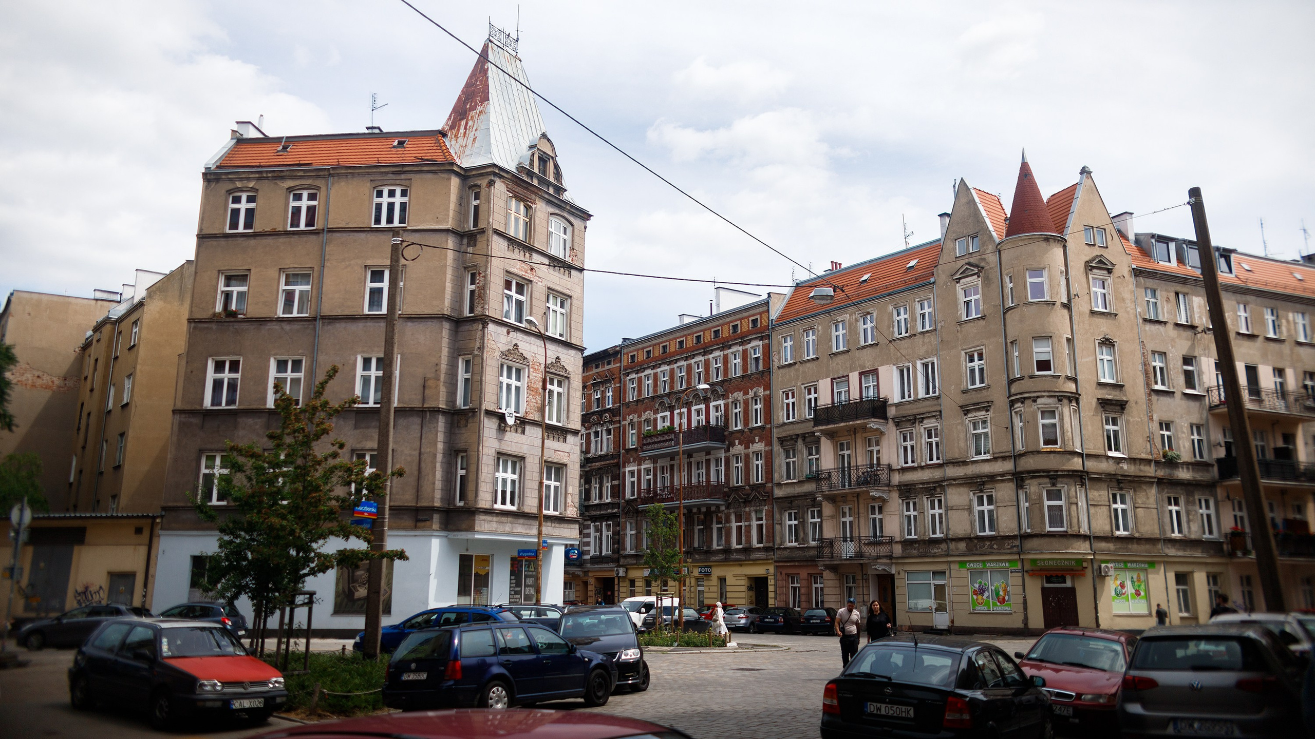 Wroclaw | the best ones. Kaja | fotograf psów we Wrocławiu