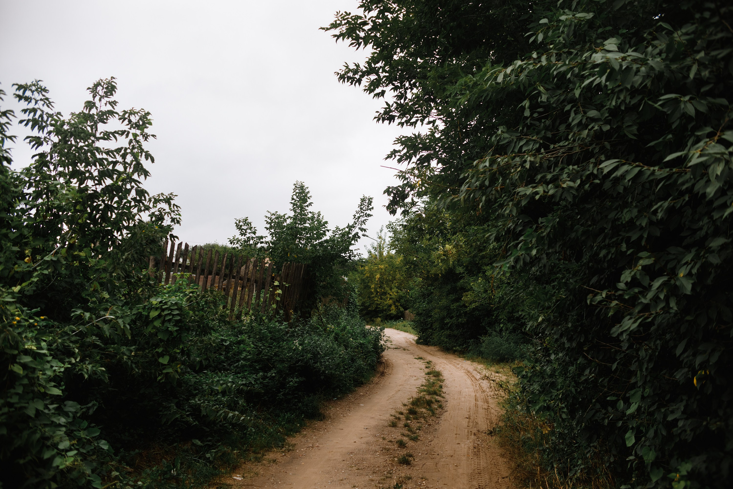 Grodno. Kaja | fotograf we Wrocławiu | ludzie i psy
