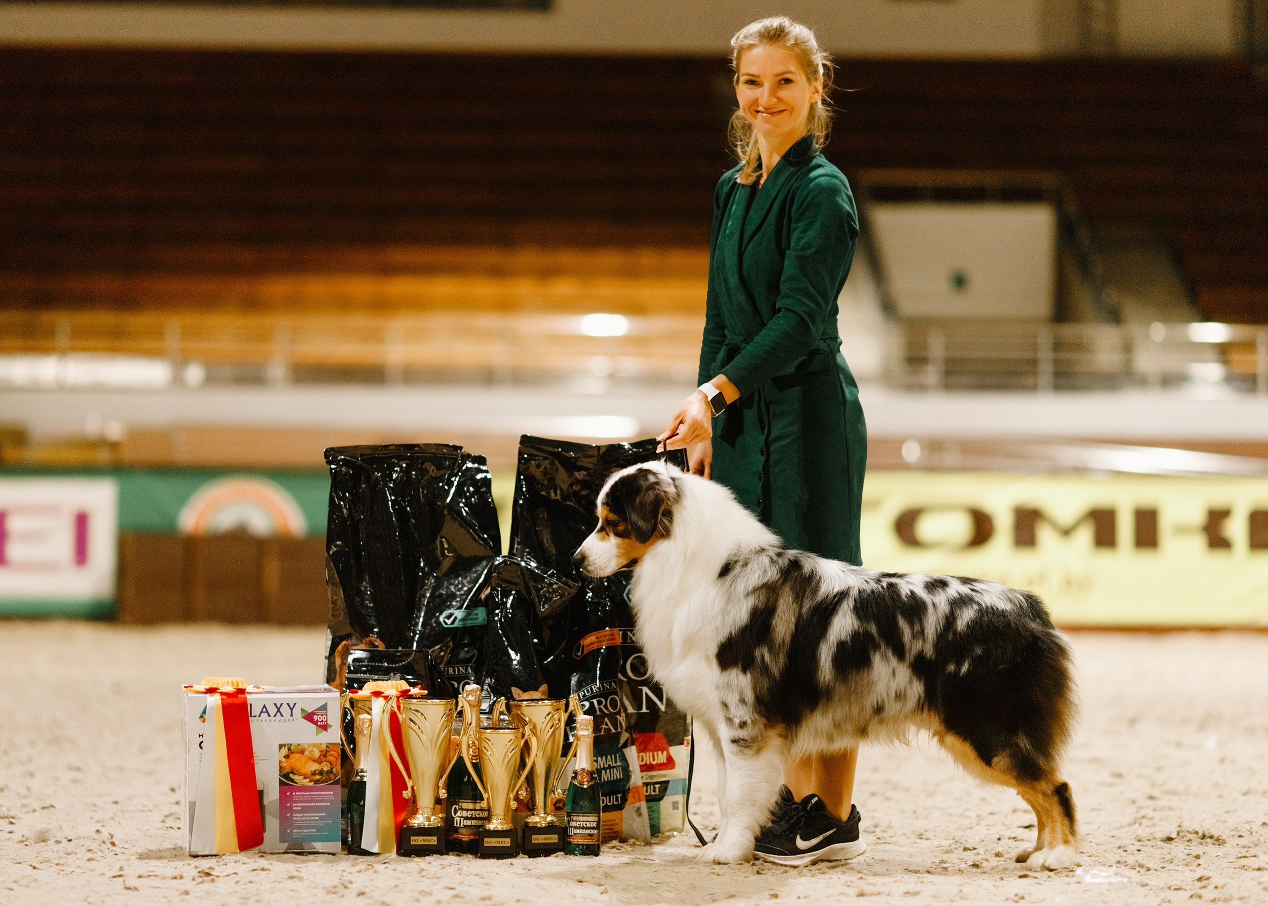 Dog shows | the best ones. Kaja | fotograf psów we Wrocławiu