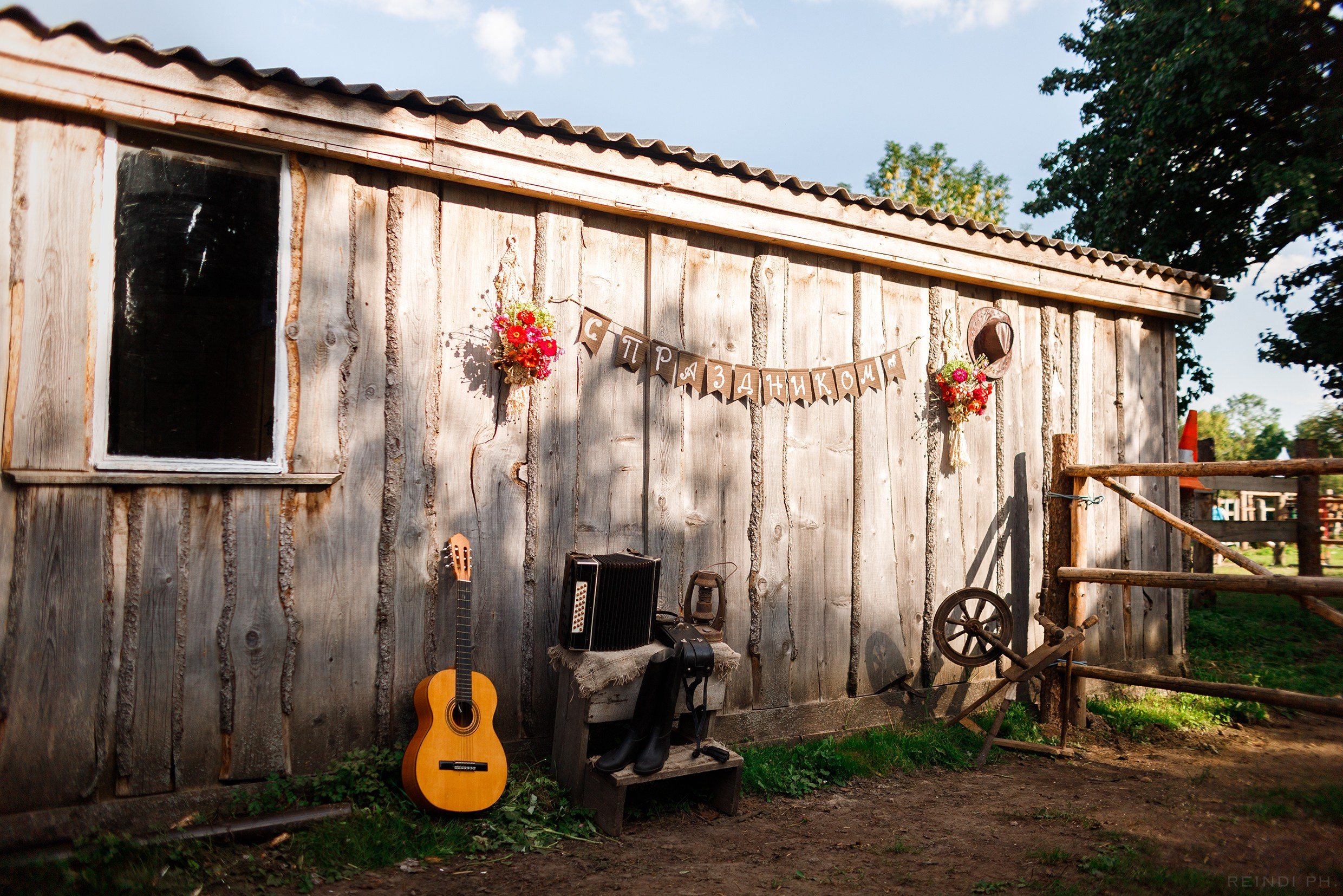Horse show in the village. Kaja | fotograf we Wrocławiu | ludzie i psy