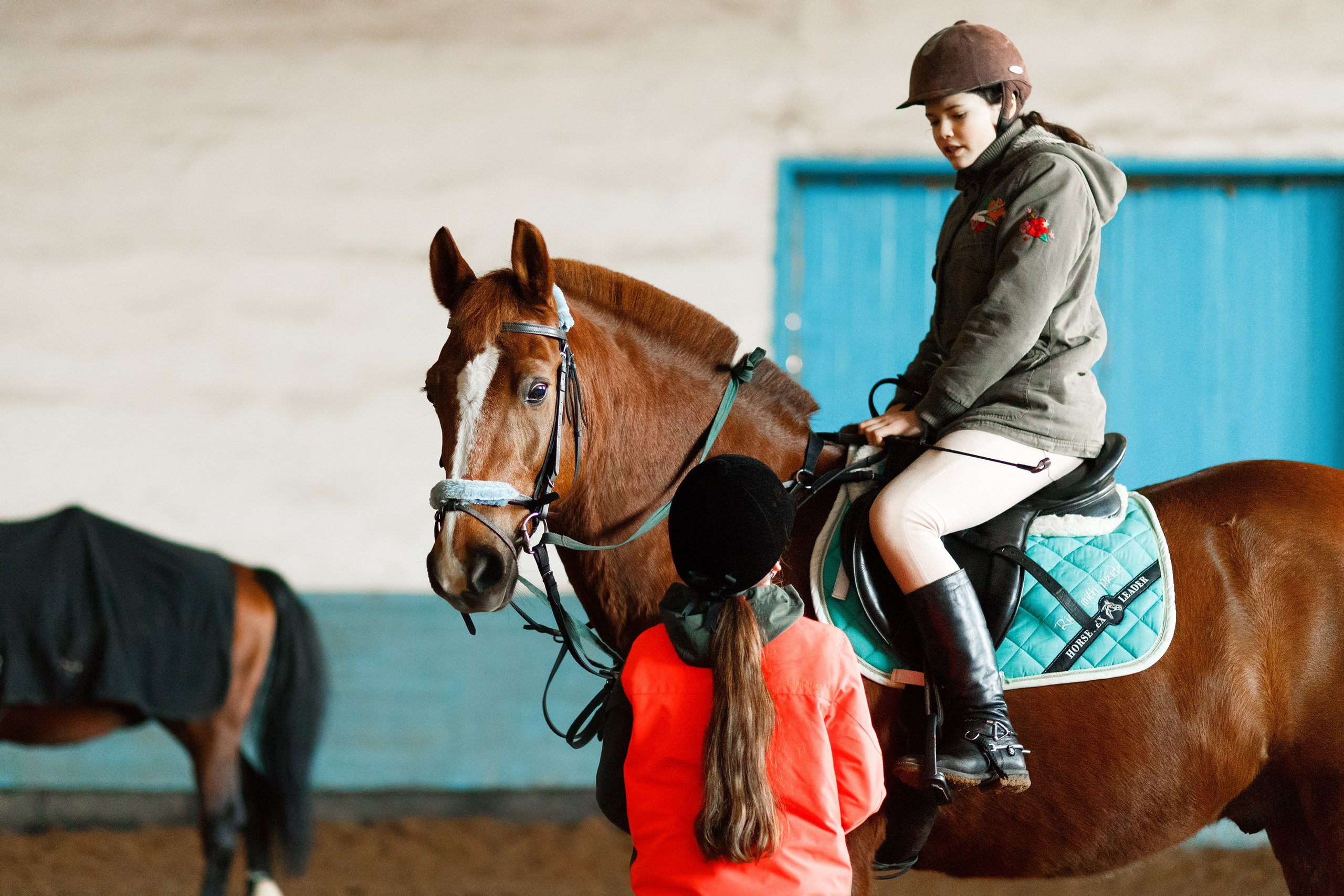 Winter show jumping in «Progress». Kaja | fotograf we Wrocławiu | ludzie i psy