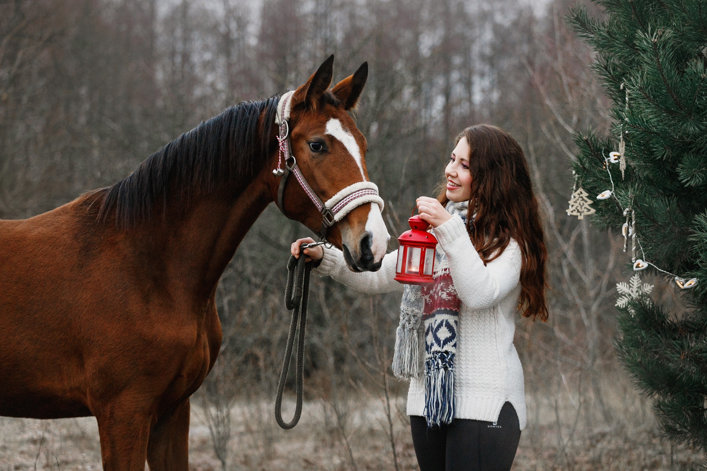 Aibike | winter. Kaja | fotograf psów we Wrocławiu