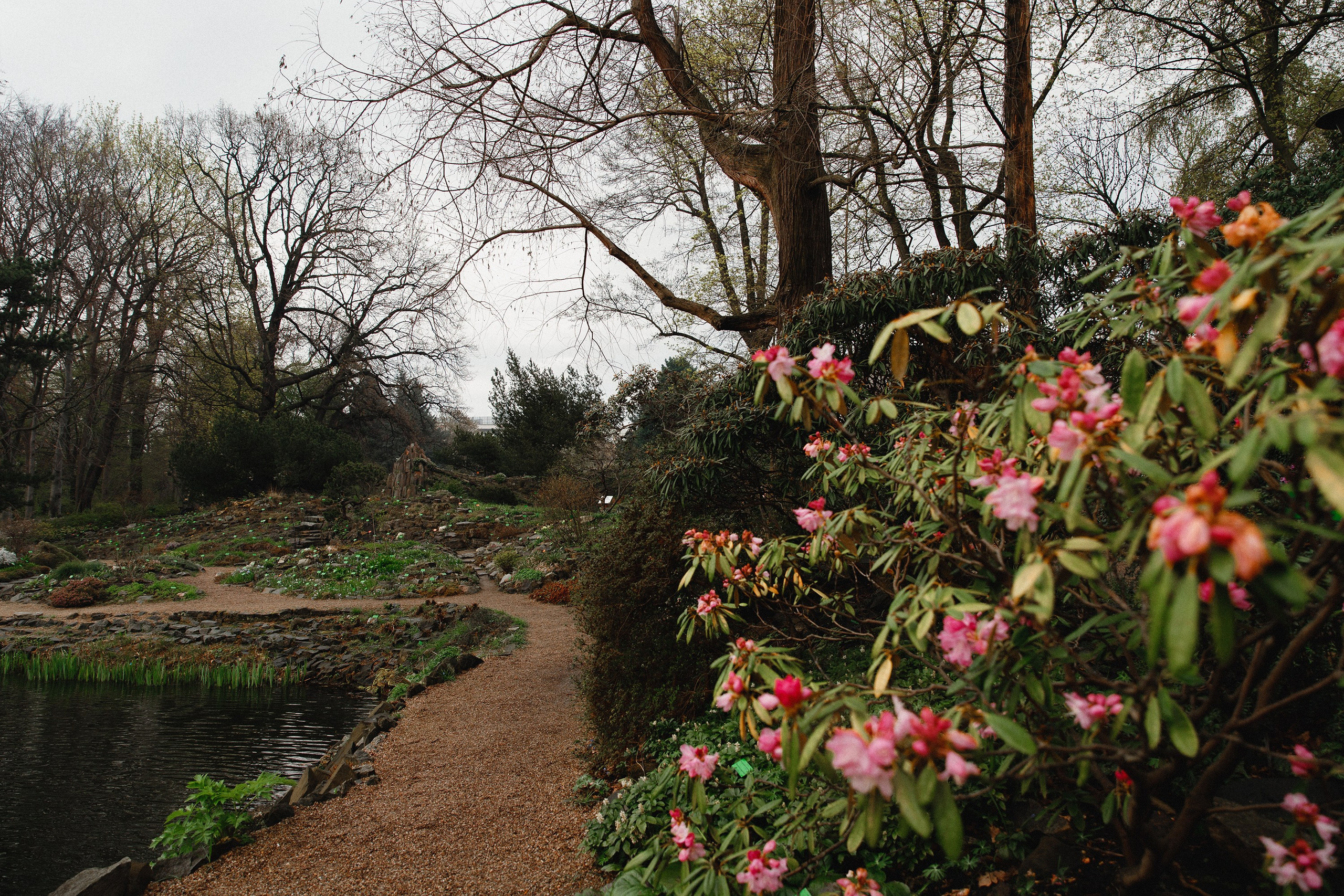 Botanical garden in Wroclaw. Kaja | fotograf we Wrocławiu | ludzie i psy