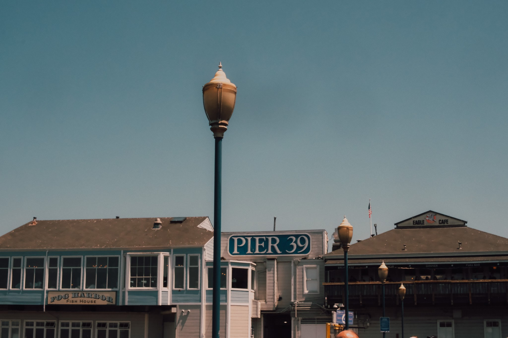 Rosy & Erik / San Francisco. Wedding and family photographer in Mexico City