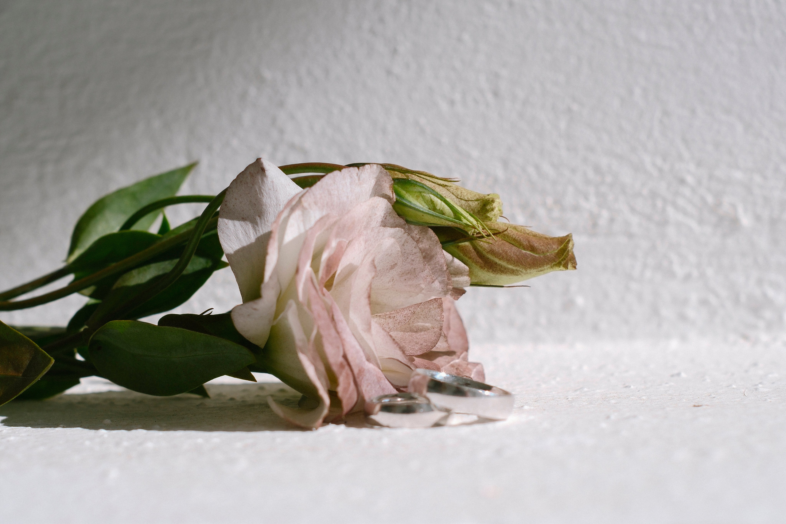 Ney & Cris / Acapulco. Wedding and family photographer in Mexico City