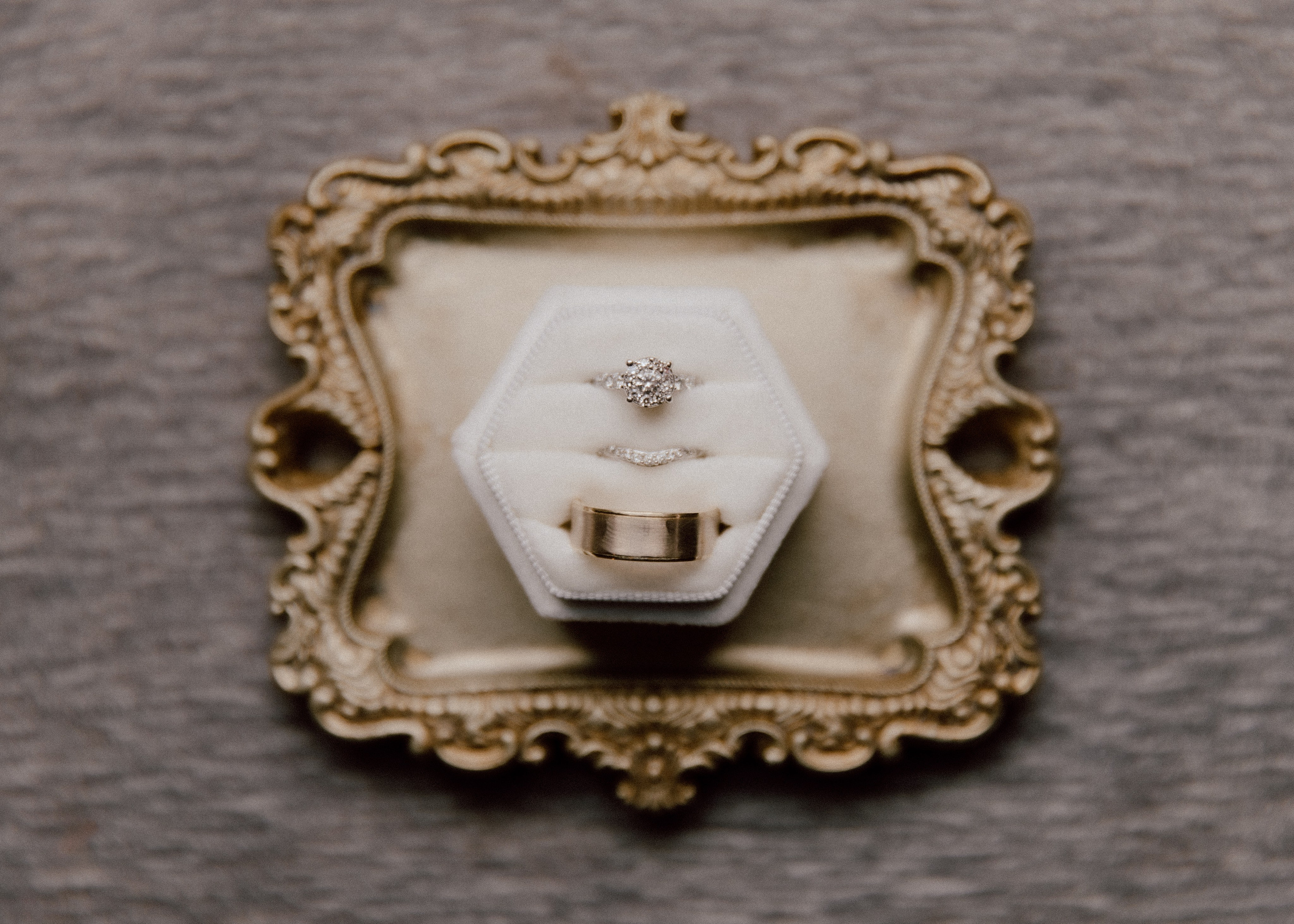 Melissa & Gabe. Portrait and couples photographer in Florida, Valeriia Honcharova