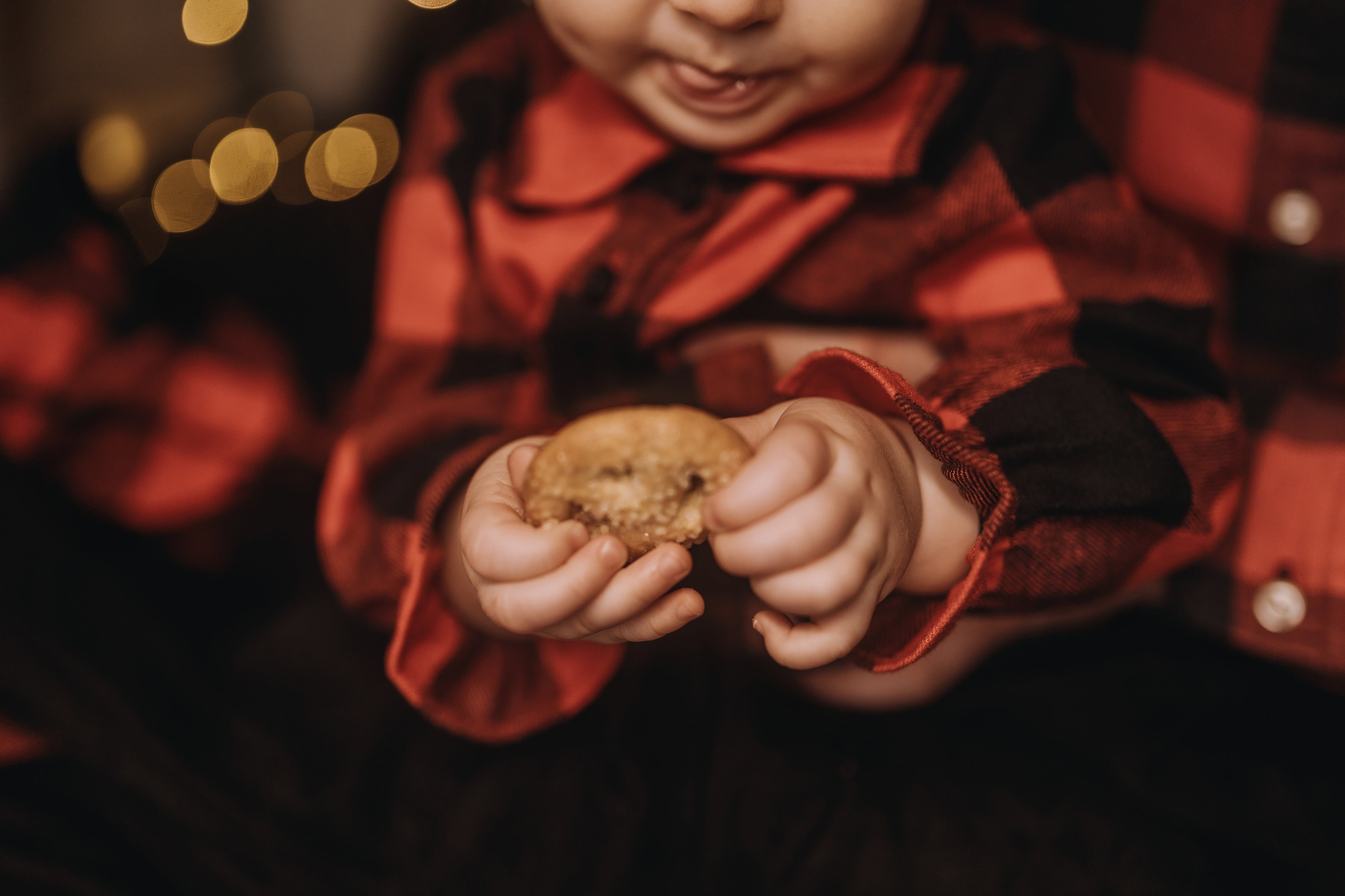 25.11.2023 Christmas Photoshoot 1. Wedding family event photographer in Chicago Nick Yushevich