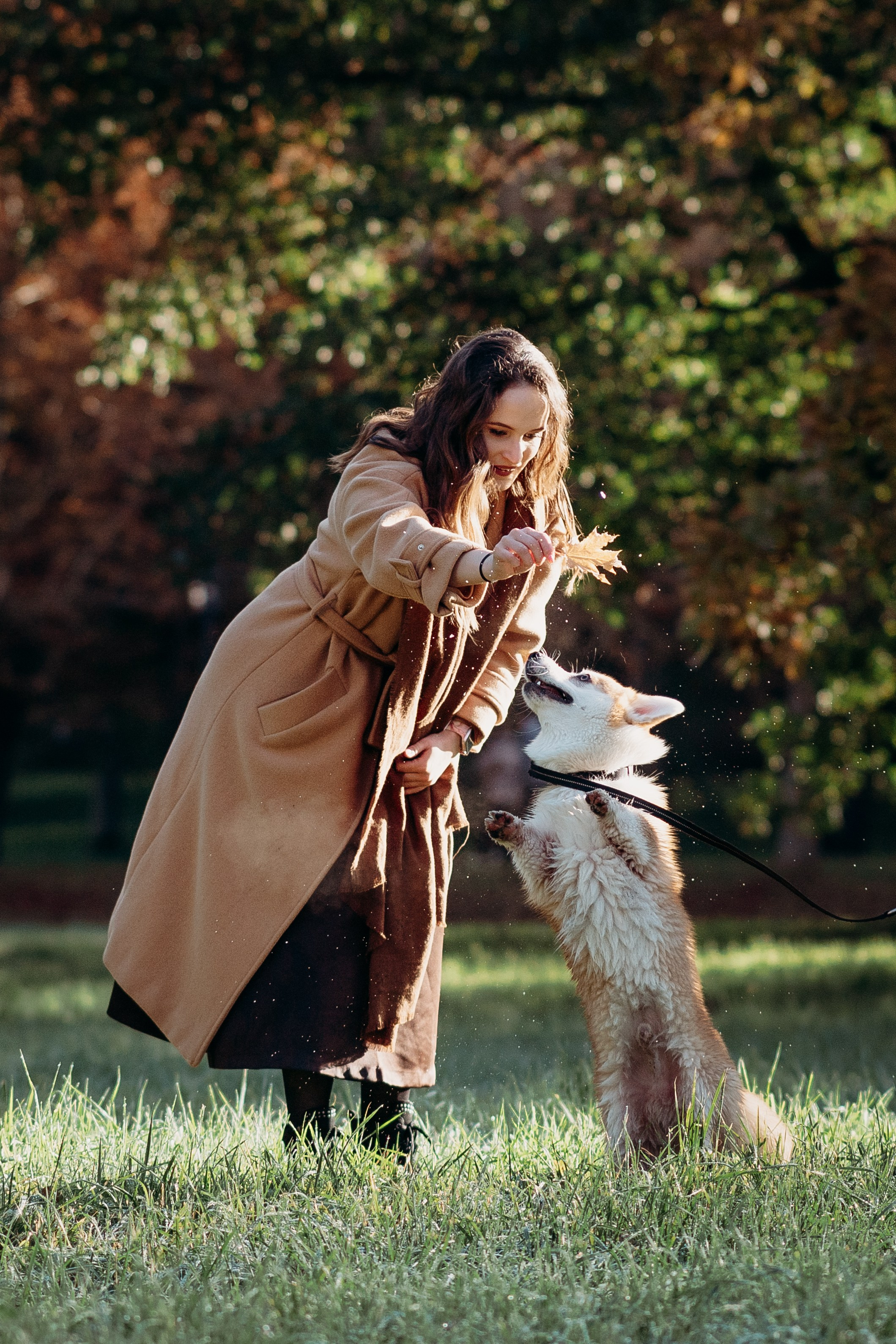 Liisa, Alexander & Marsel. Фотограф-анималист в Таллинне, Катя Лайсаар