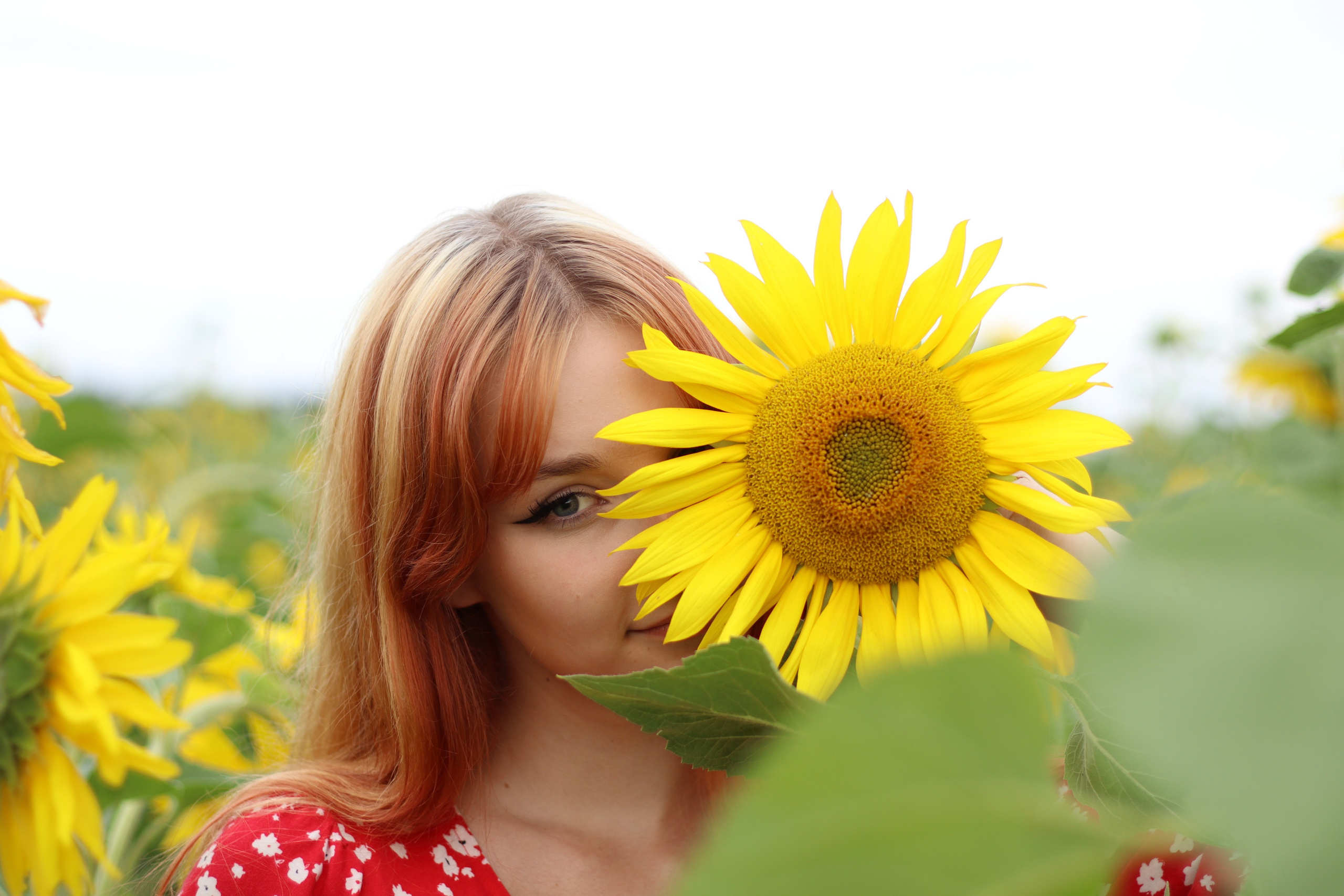 Фотосессия в подсолнухах. Фотограф / Даугавпилс / Ольга Антонова