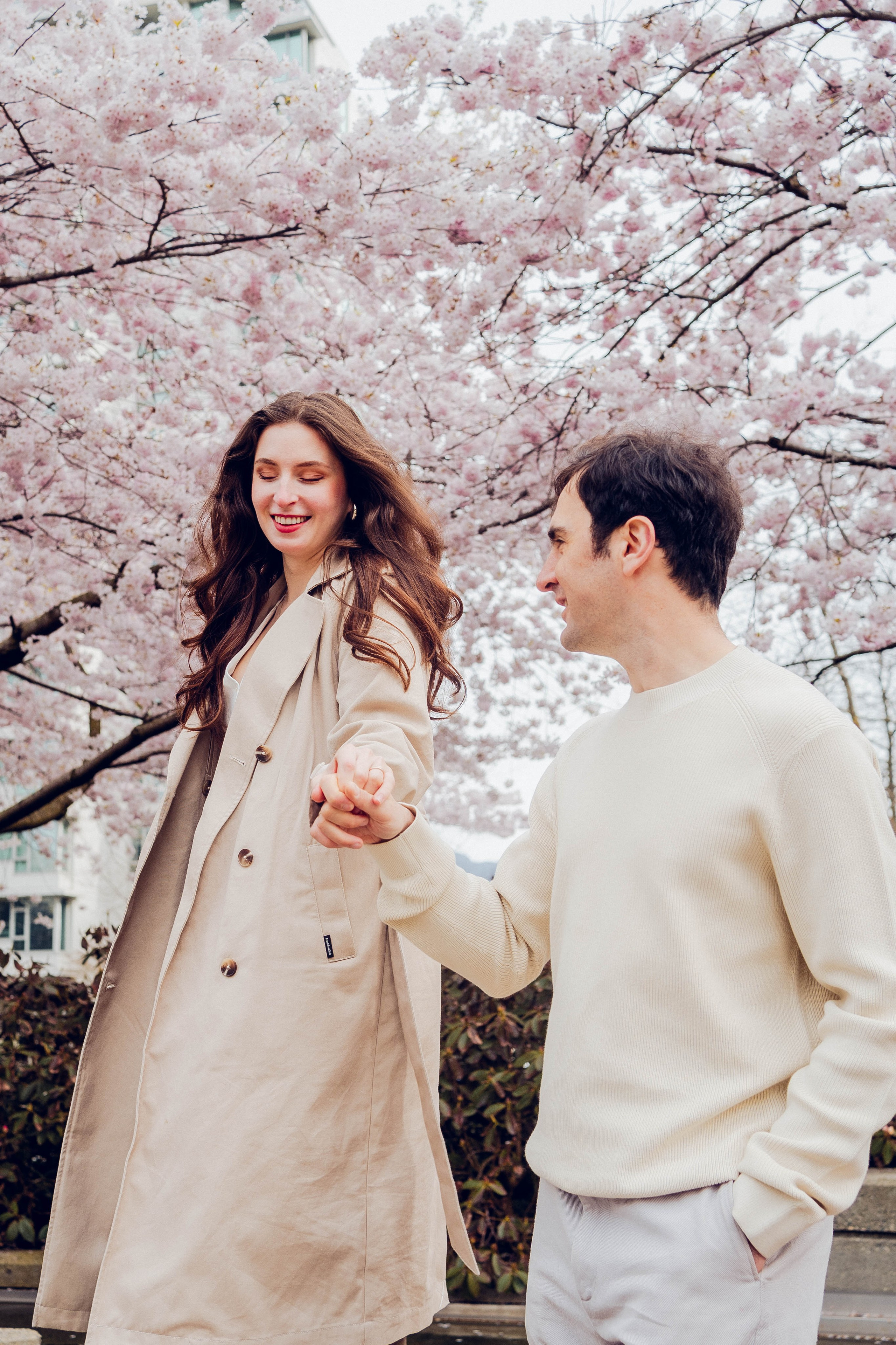 Cherry blossom. Main