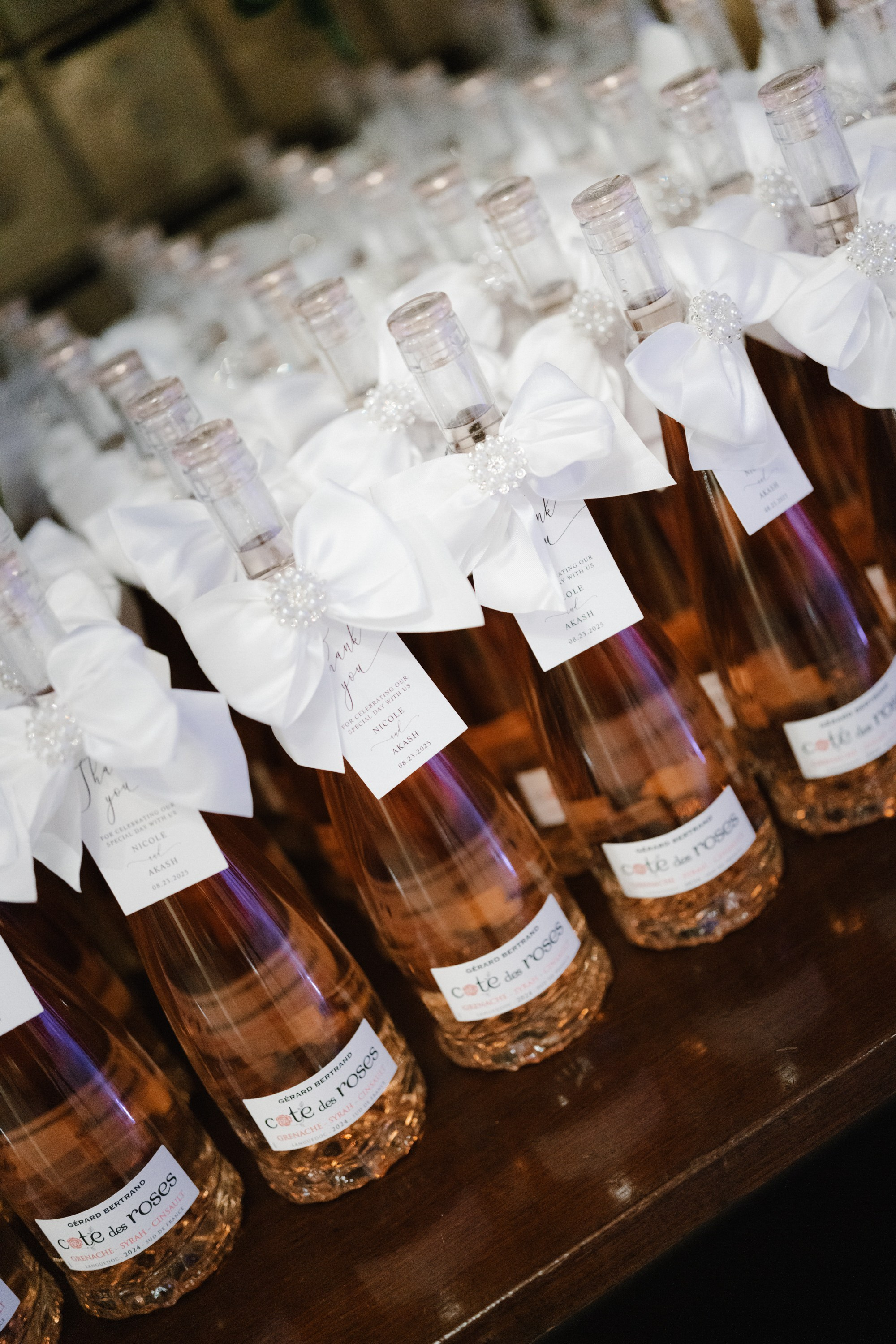 Nicole and Akash. Wedding photographer and videographer New York | New Jersey