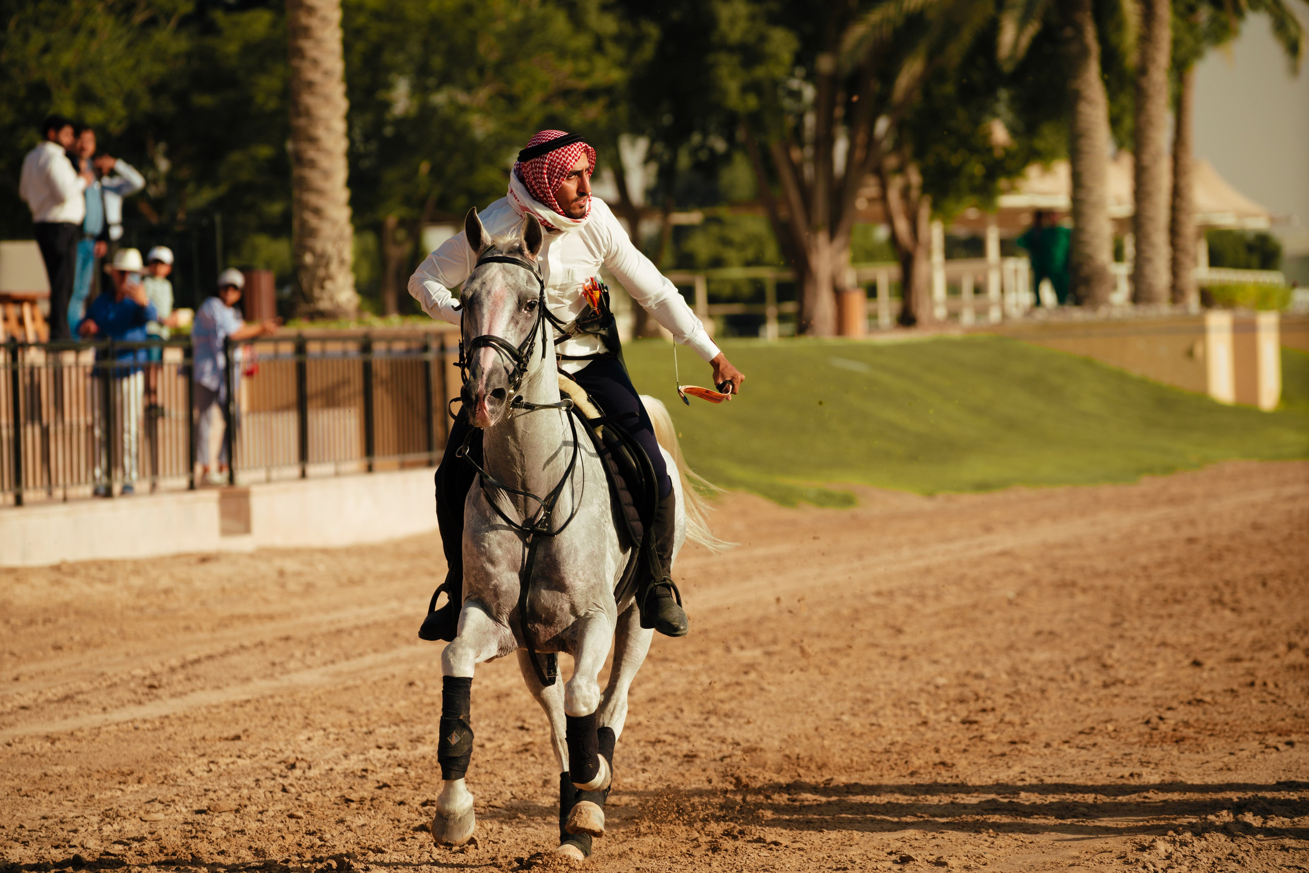 With horses and camels. Photographer and videographer in Dubai Dmitry Gromov