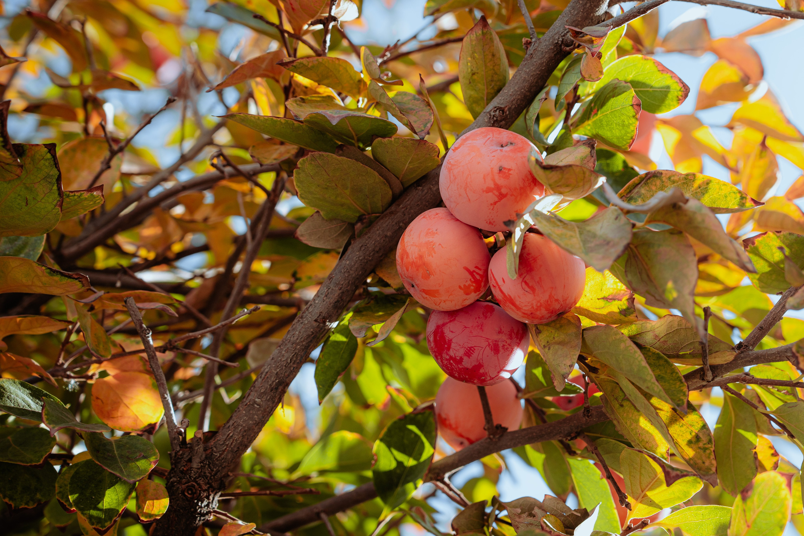 Стрит и Урбан. Георгий Намазов | Фотограф в Ташкенте