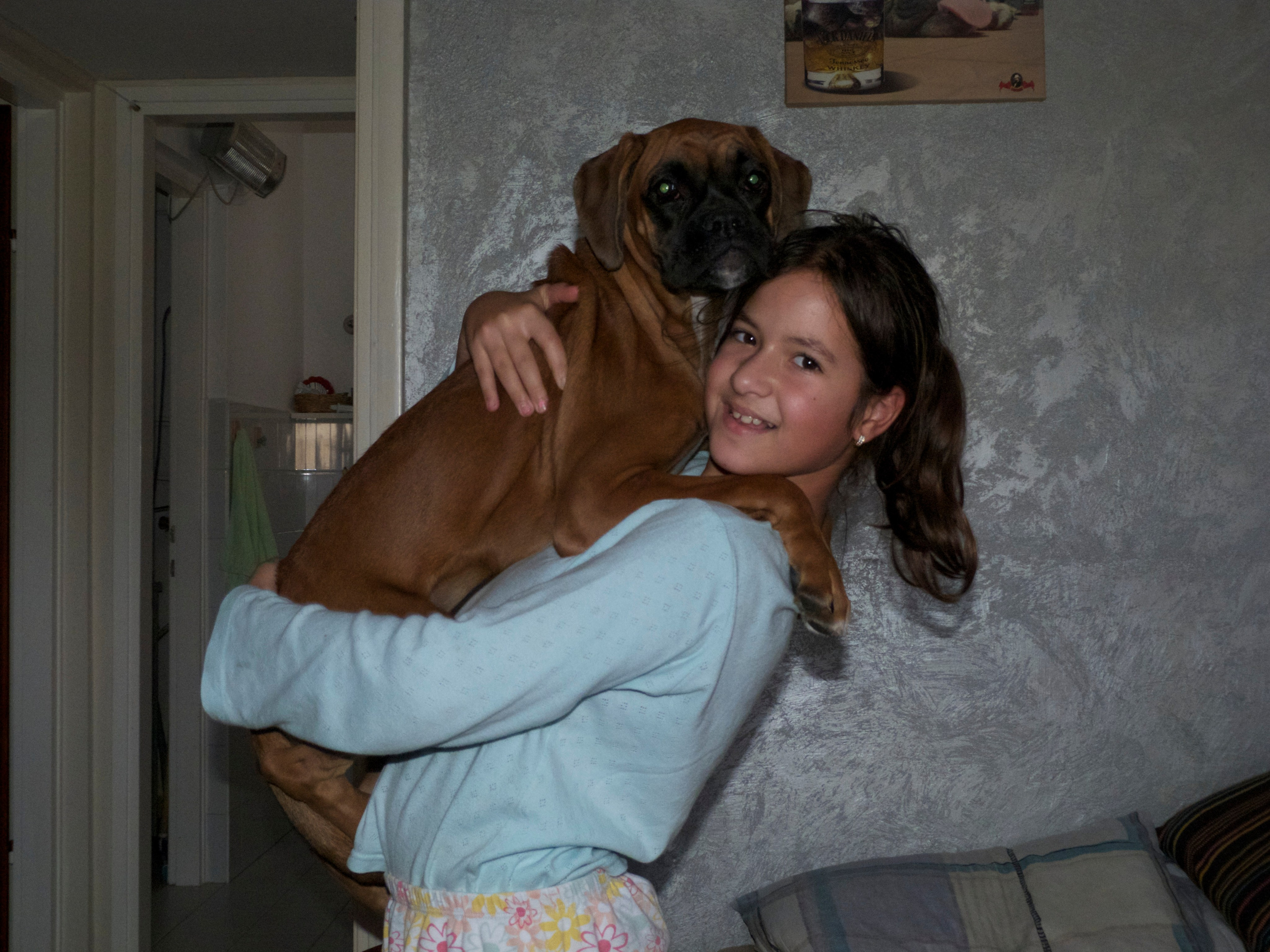 My ״Star״ Boxer Dog