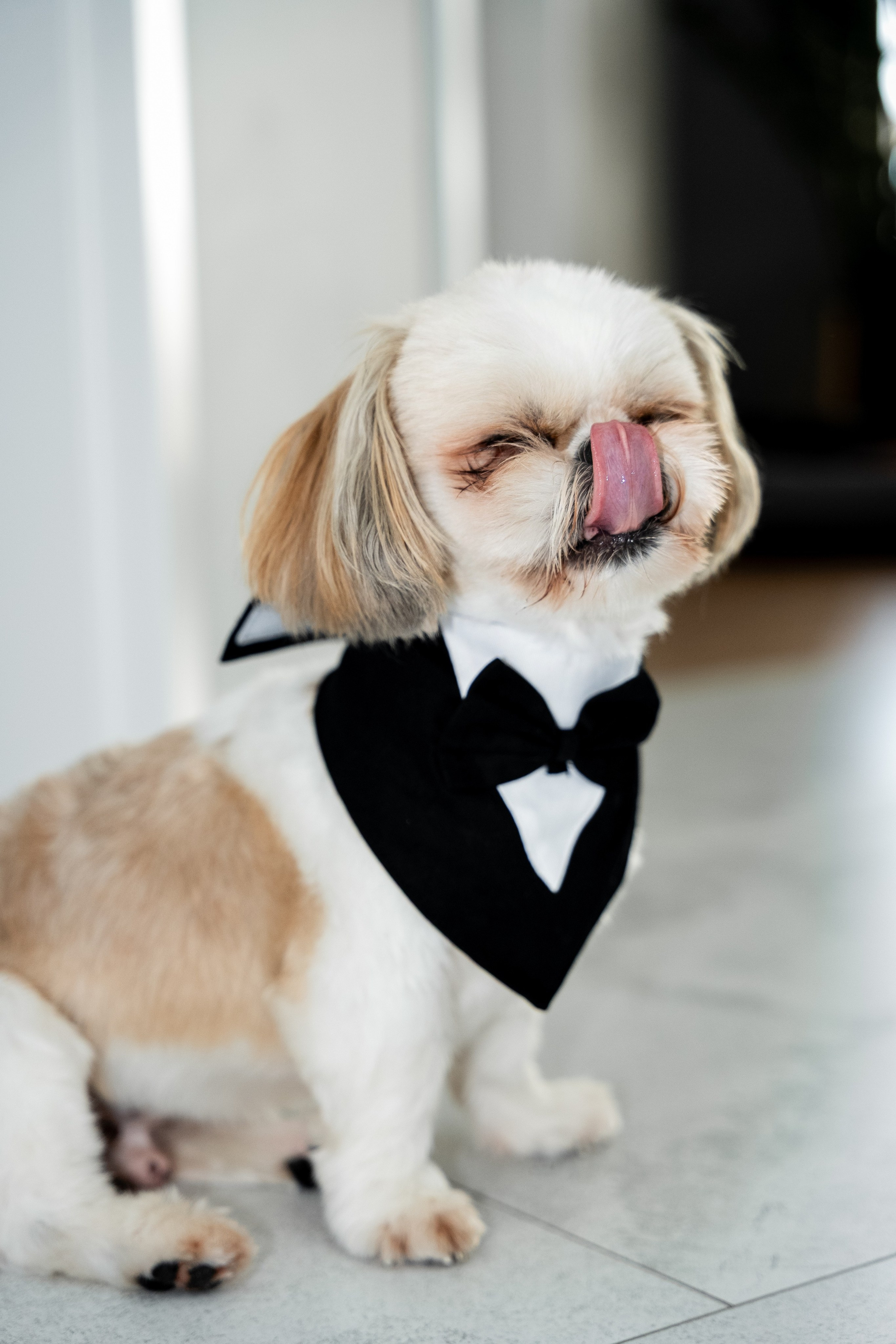 B&S. SL Wedding Photo: ponadczasowa fotografia ślubna | Wrocław & Europa