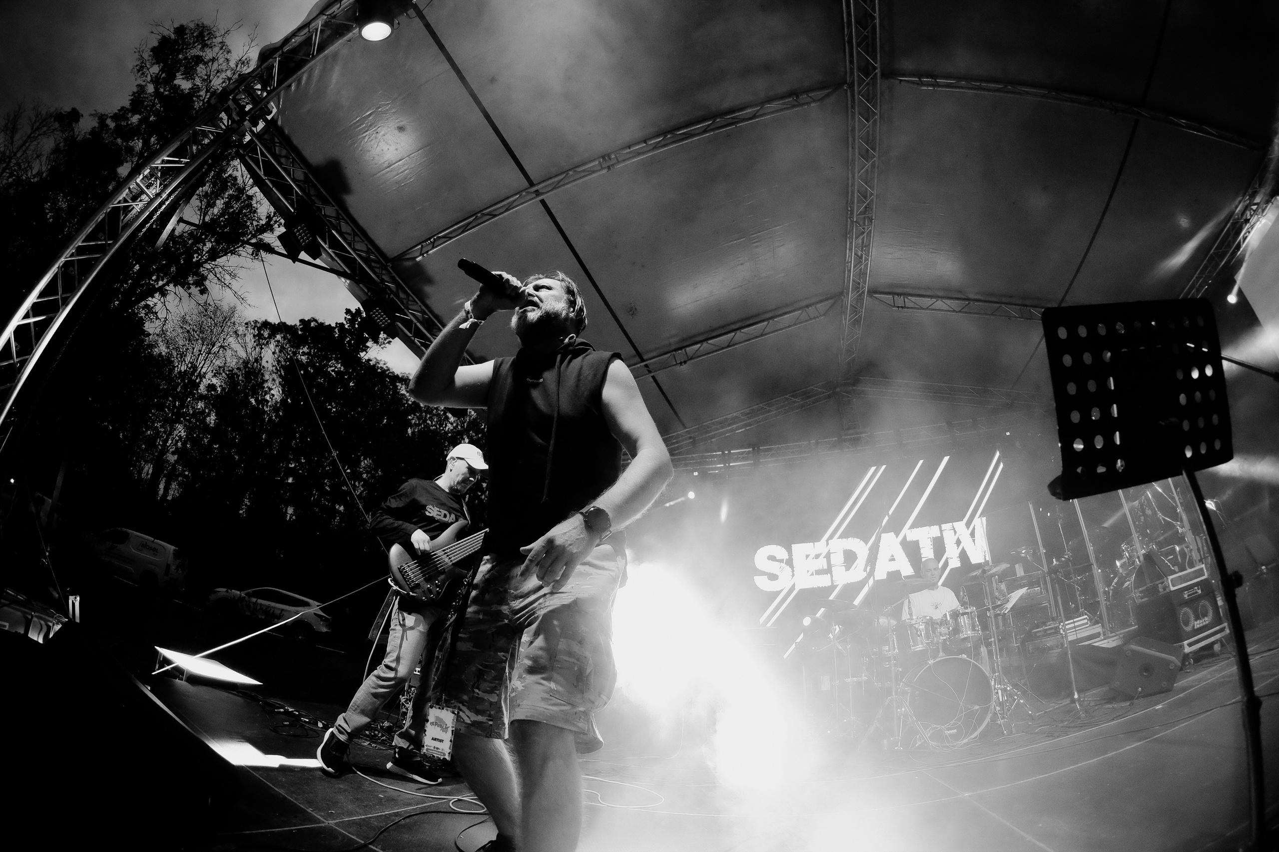 Sedativ. Hornetart