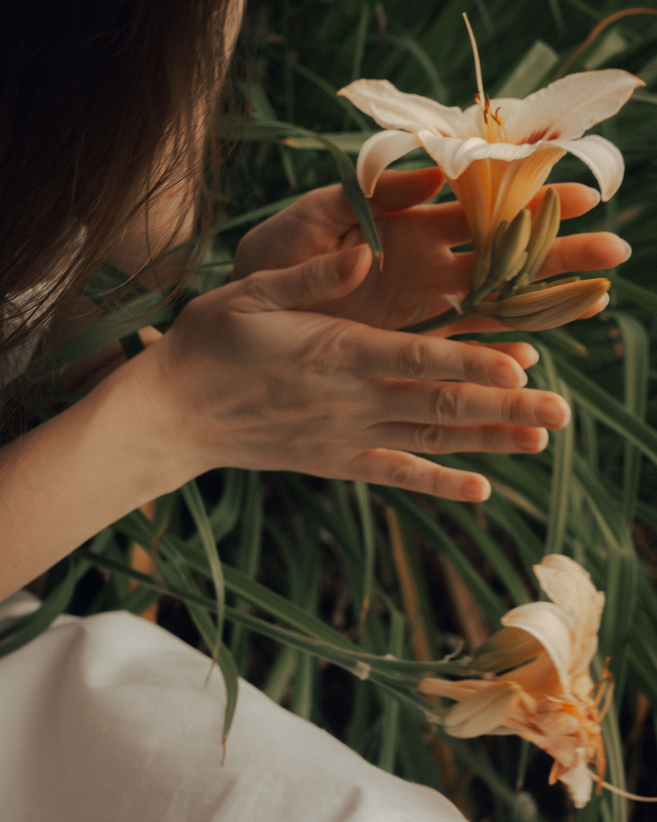 MALIKA. Anna Omni — concept photographer and digital artist in Riga, Latvia