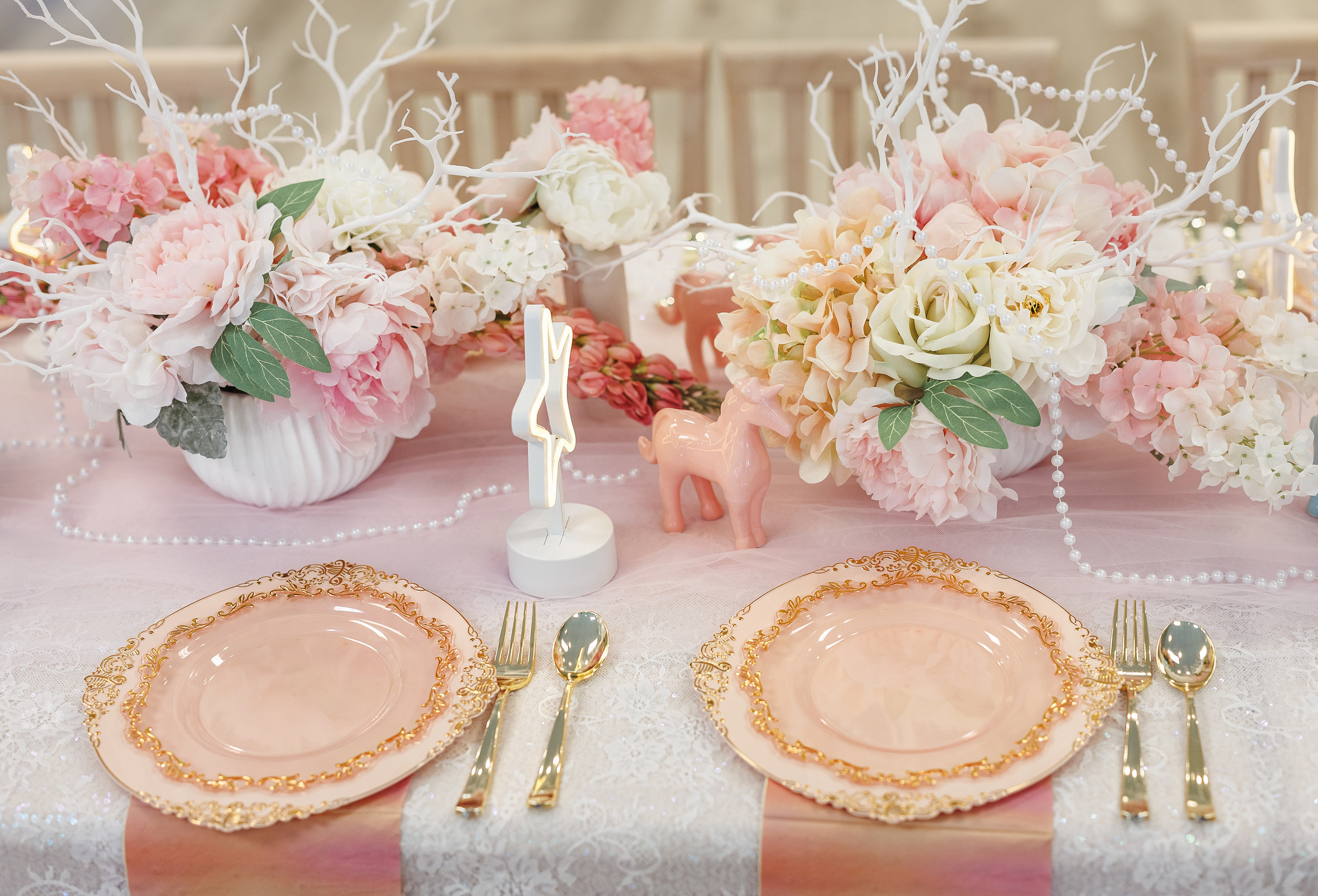 Small events. ArtFeather Photography. Sacramento, California