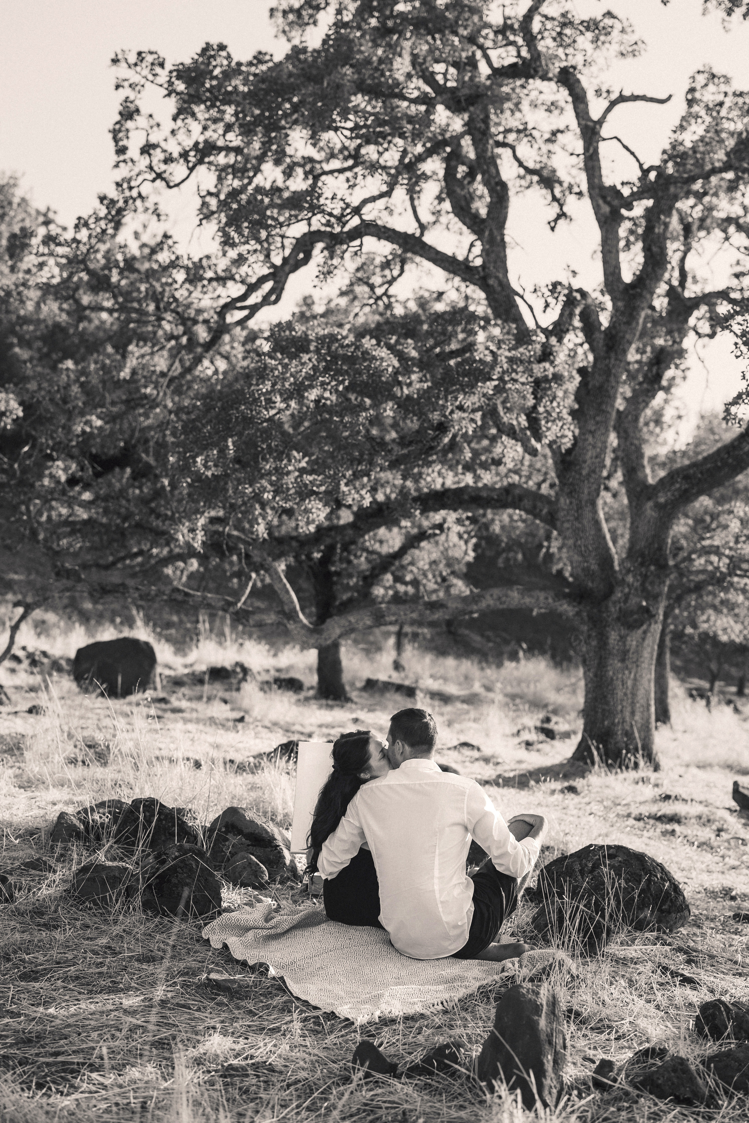 Family. ArtFeather Photography. Sacramento, California