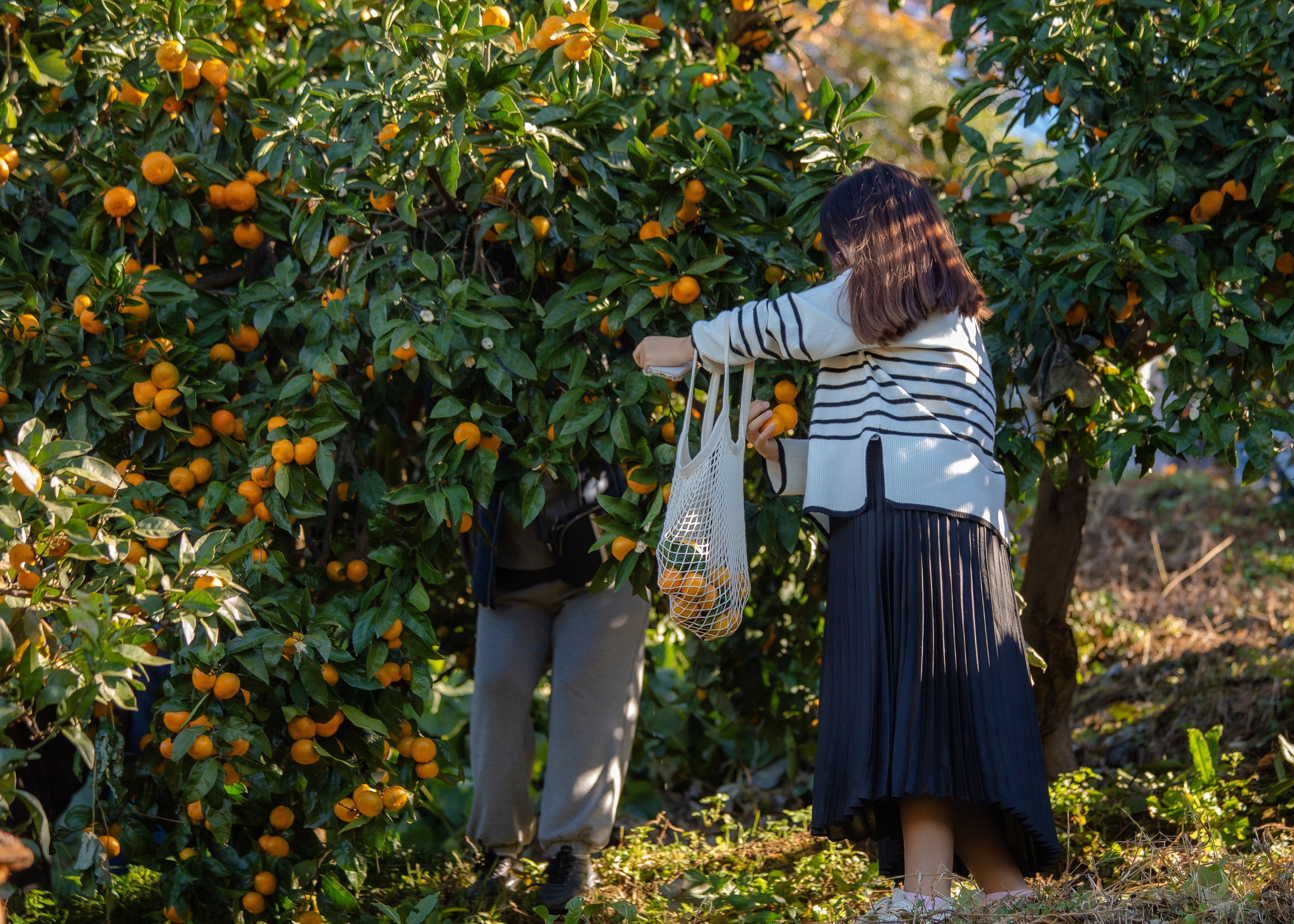 Event. PHOTOSTORYNIKA