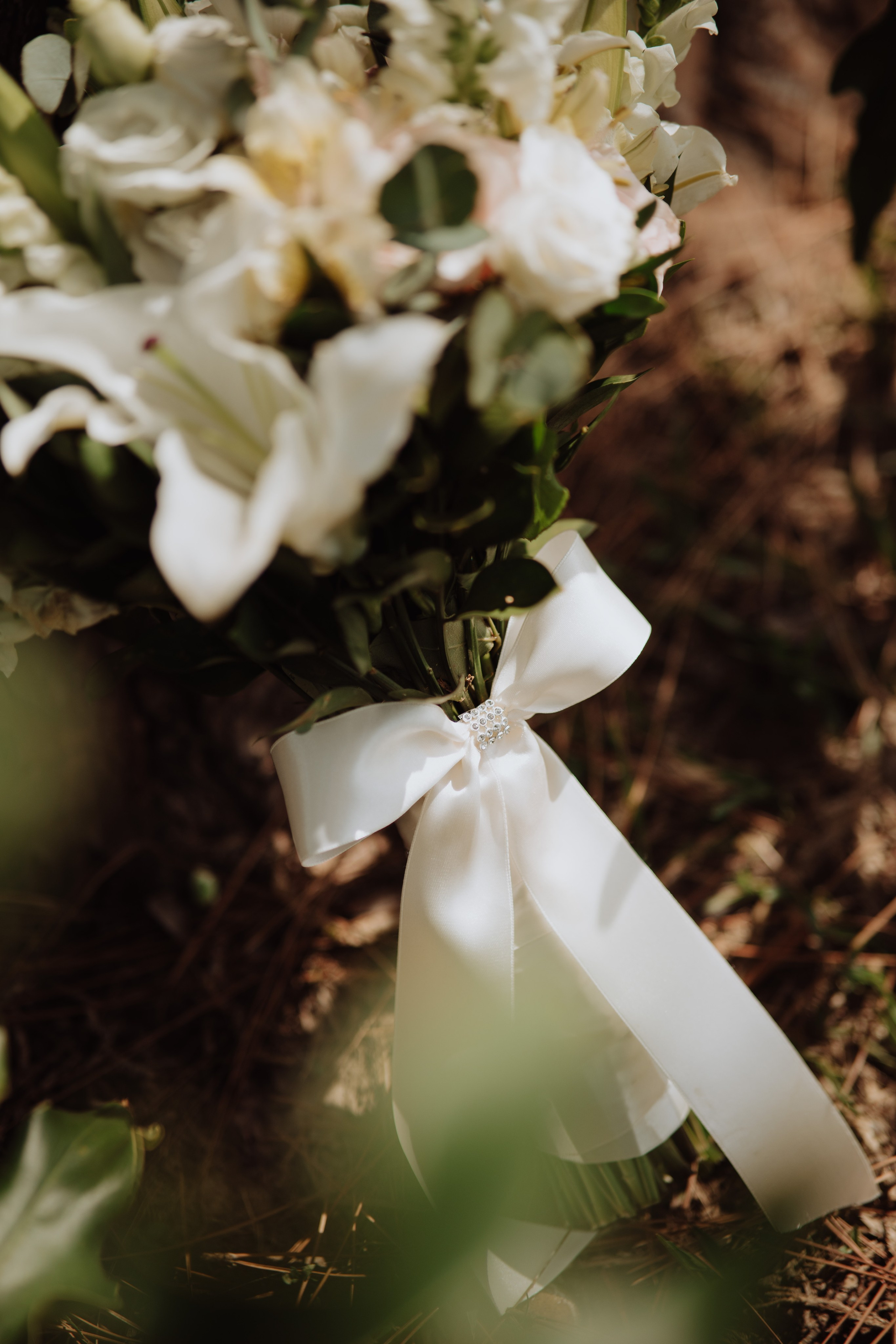 Jessica & Miguel. O Casal Dos Noivos