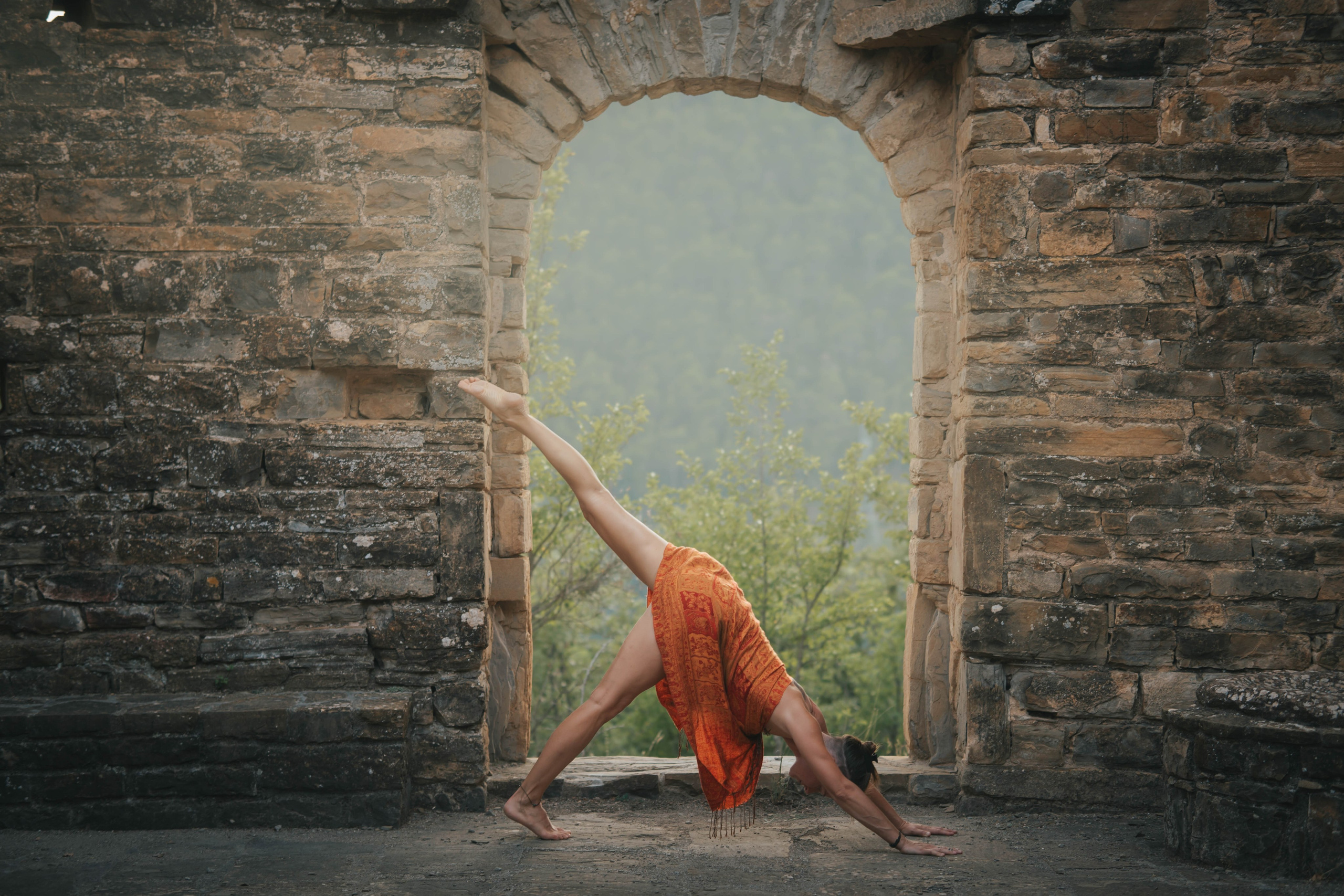 Kinga. Alba del Norte Studio