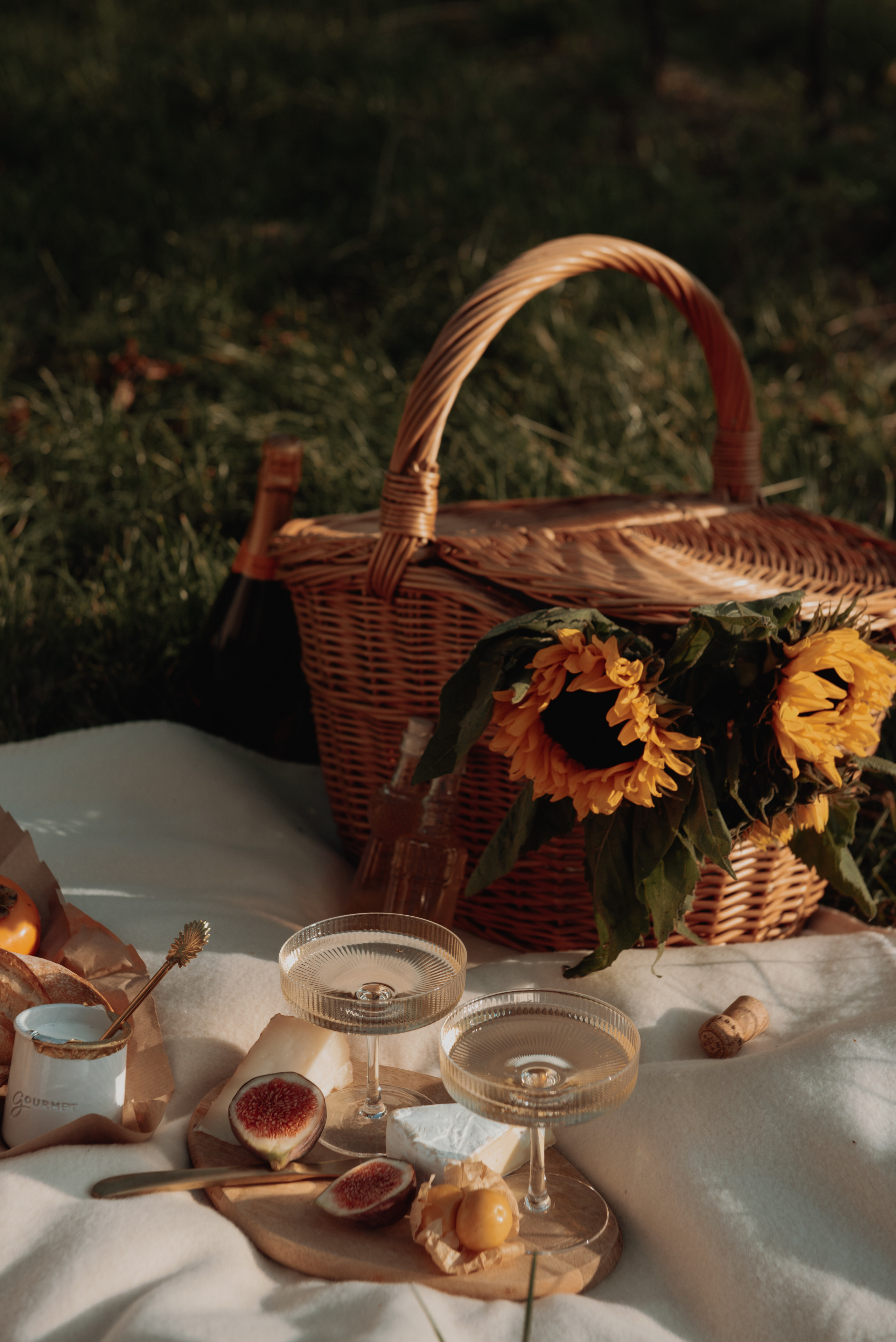 Edisa Shahini having picnic at Kahlenberg. Photographer in Vienna Ksenia Kogler