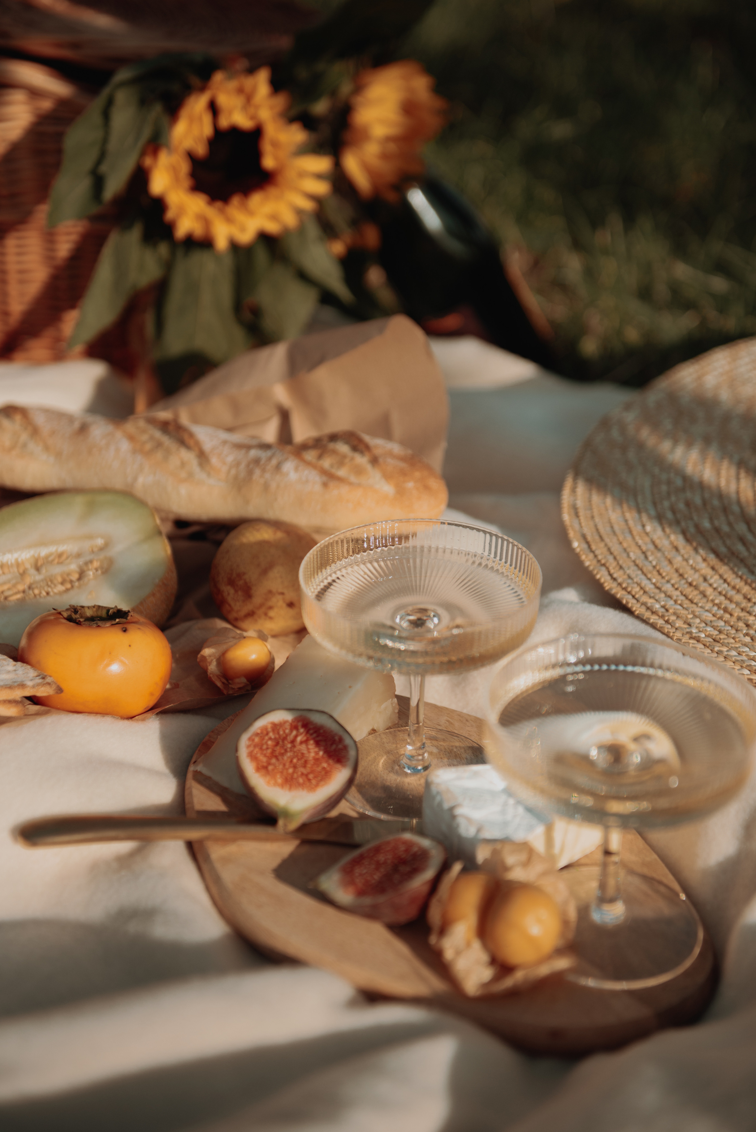 Edisa Shahini having picnic at Kahlenberg. Photographer in Vienna Ksenia Kogler