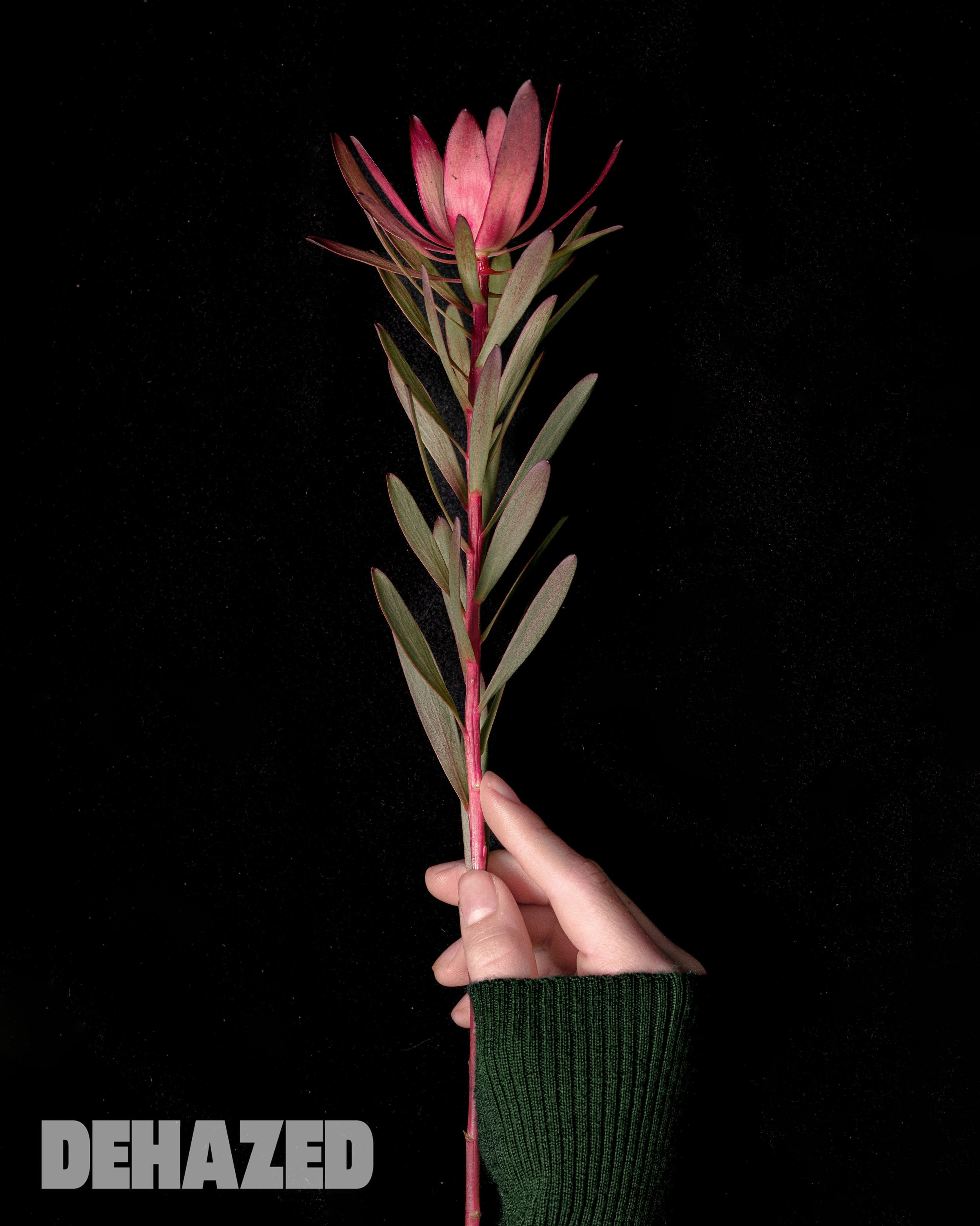 Publications, Awards. Wedding-Family photographer, South of France–Paris, Valentina Acrement