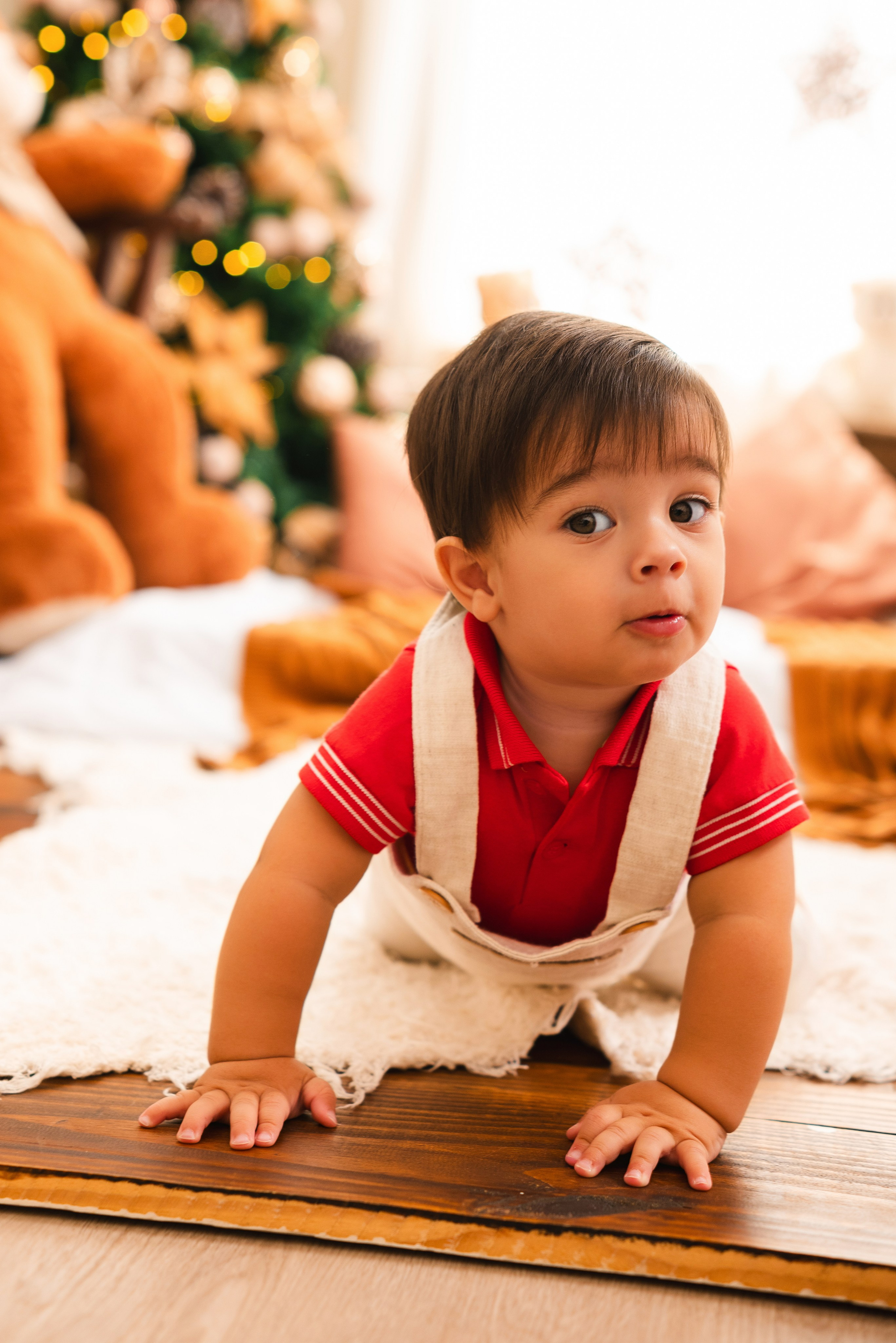 Natal Encantado — Família Torezani. Fotografo de casamentos e famílias no Espirito Santo — Marllus Milanez