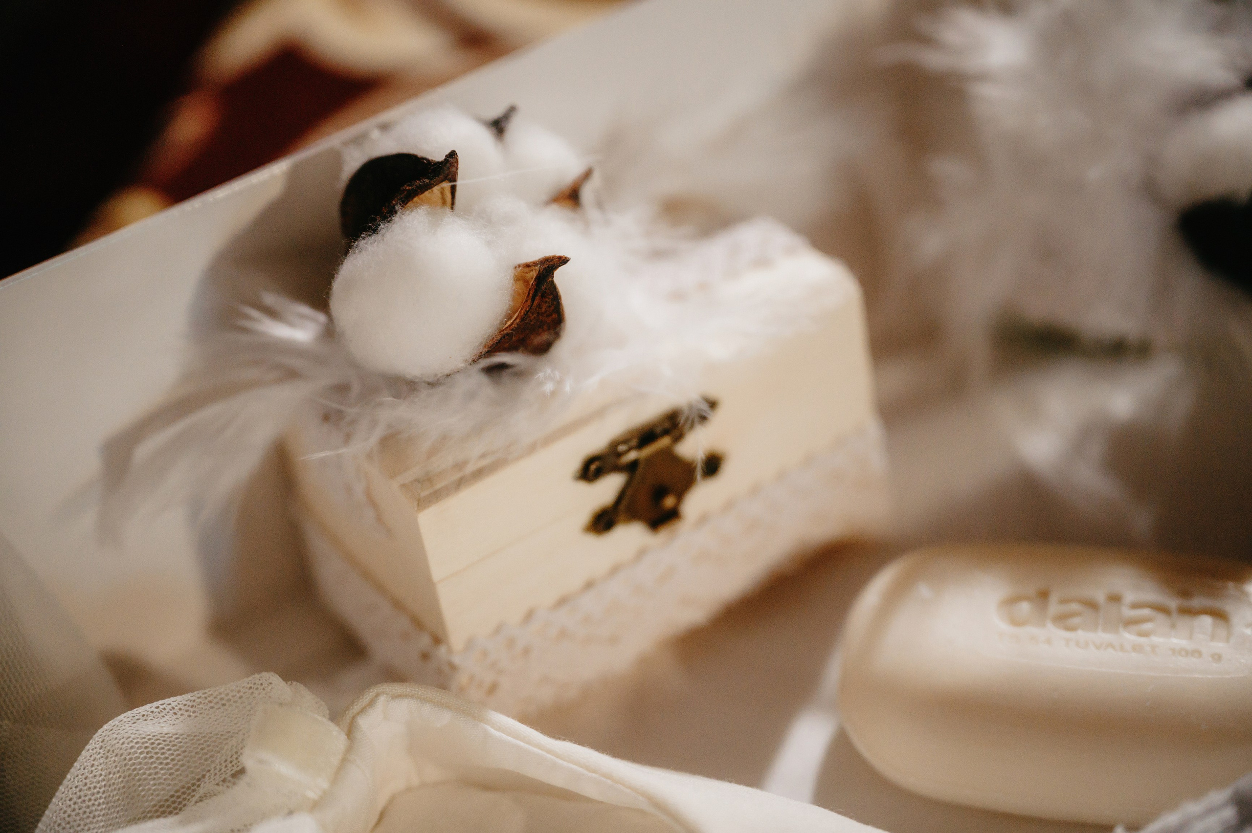 BOTEZ Ana Natasha. Laurentiu Stefan StoryTeller