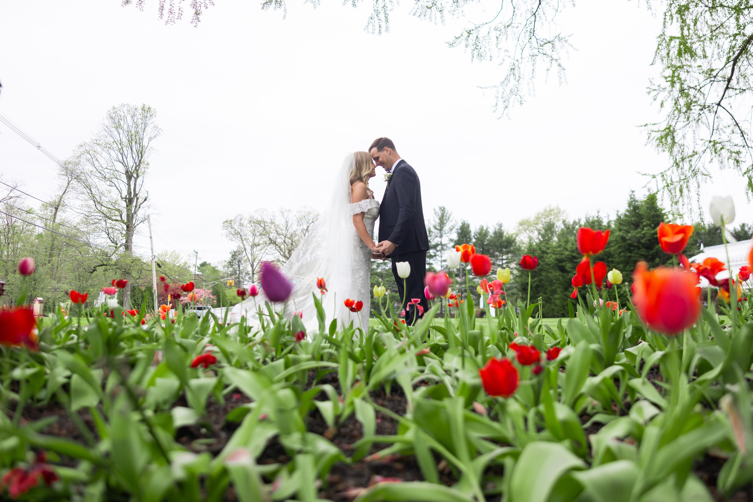 Michael & Ellie, The Medison Hotel, Morristown, NJ. Wedding Photo & Video