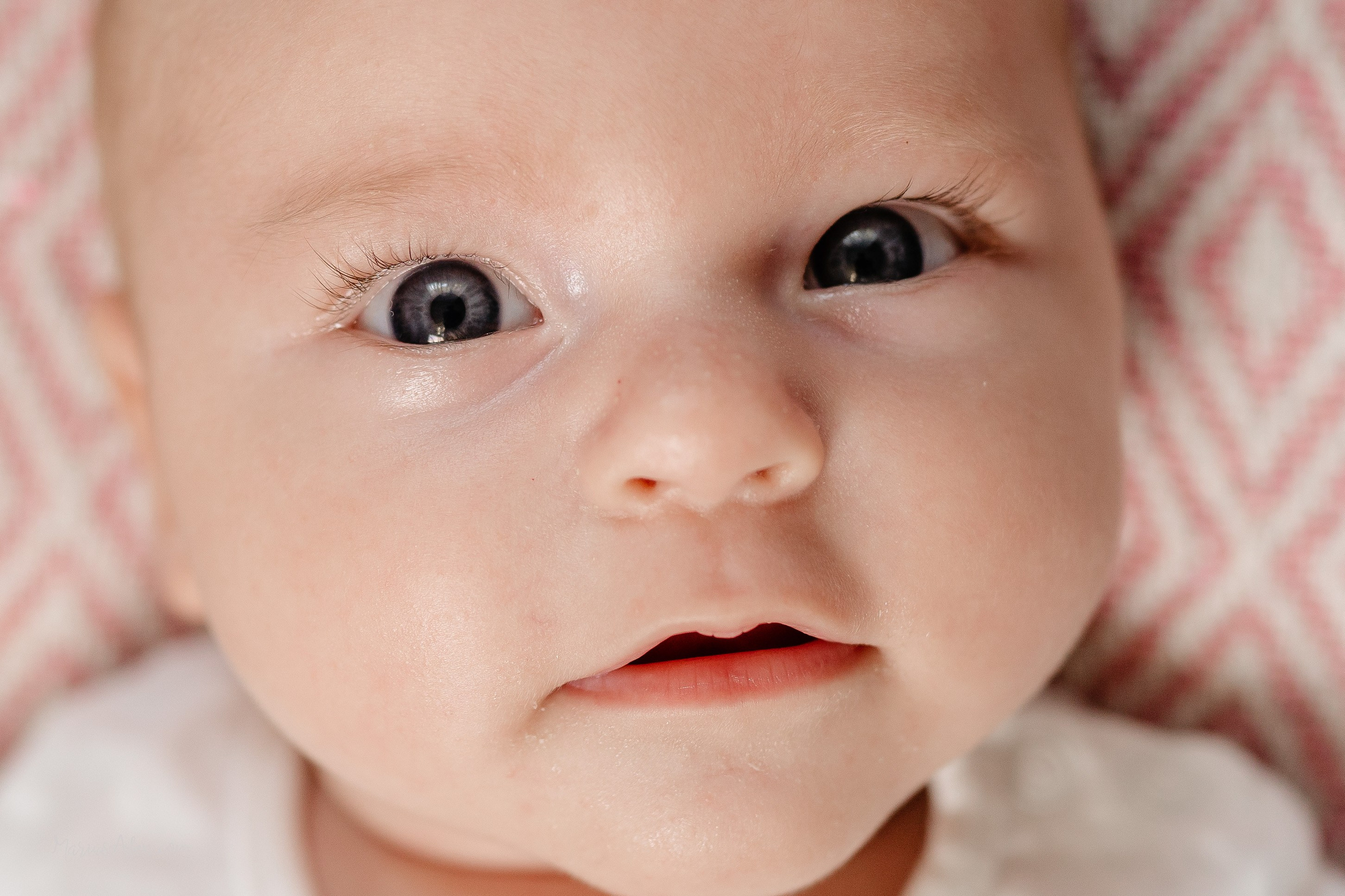 Alexia Nina. Marius Alex fotograf de eveniment si portret din Suceava