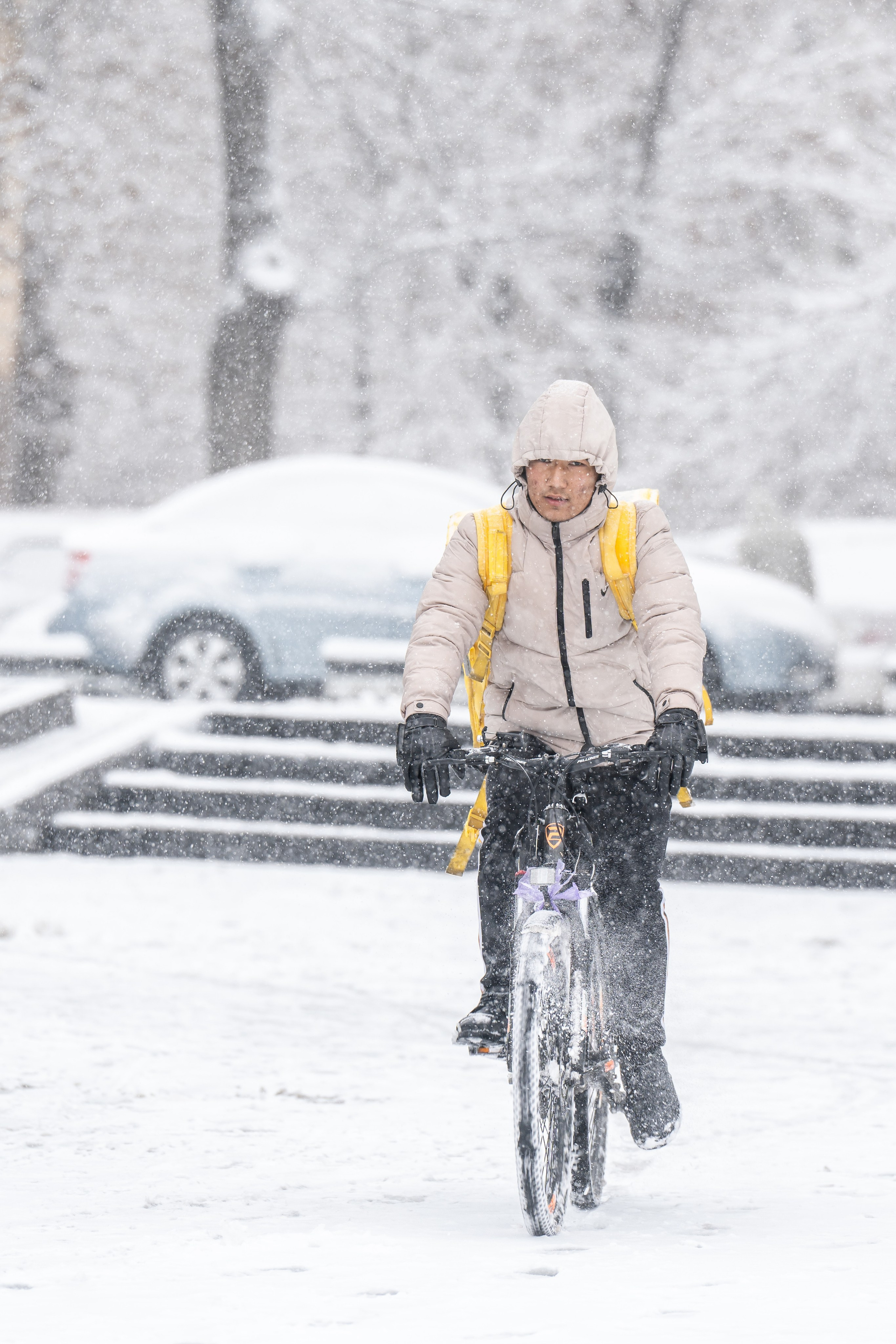 Снег. Георгий Намазов | Фотограф в Ташкенте