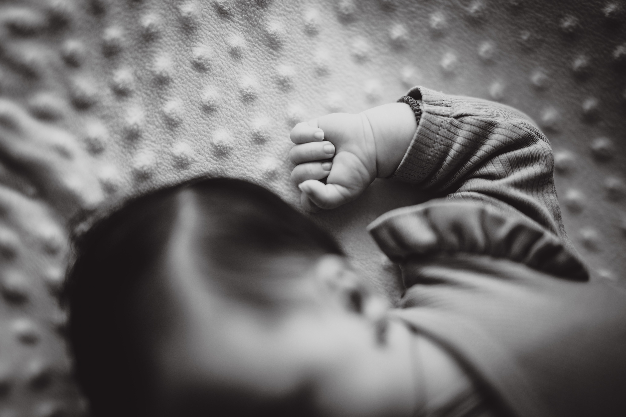 Carolina Ilinca. The Catalins Events — Wedding Photography & Videography