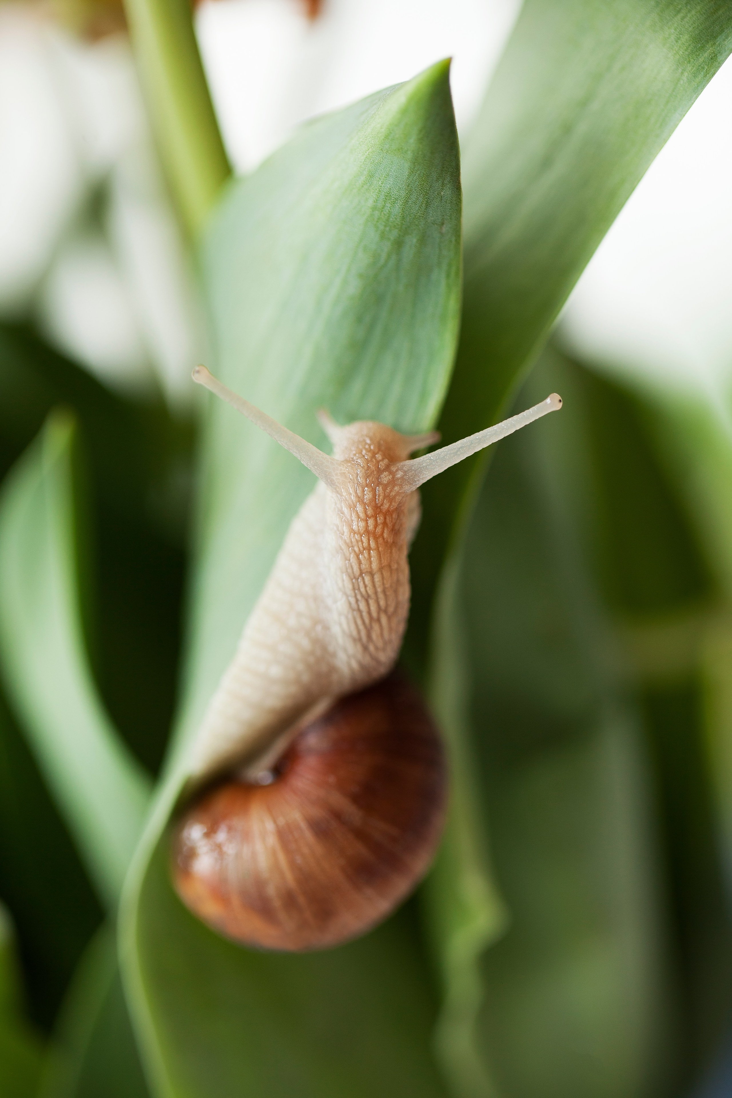 LIFESTYLE. ENYA RODAK PHOTOGRAPHY