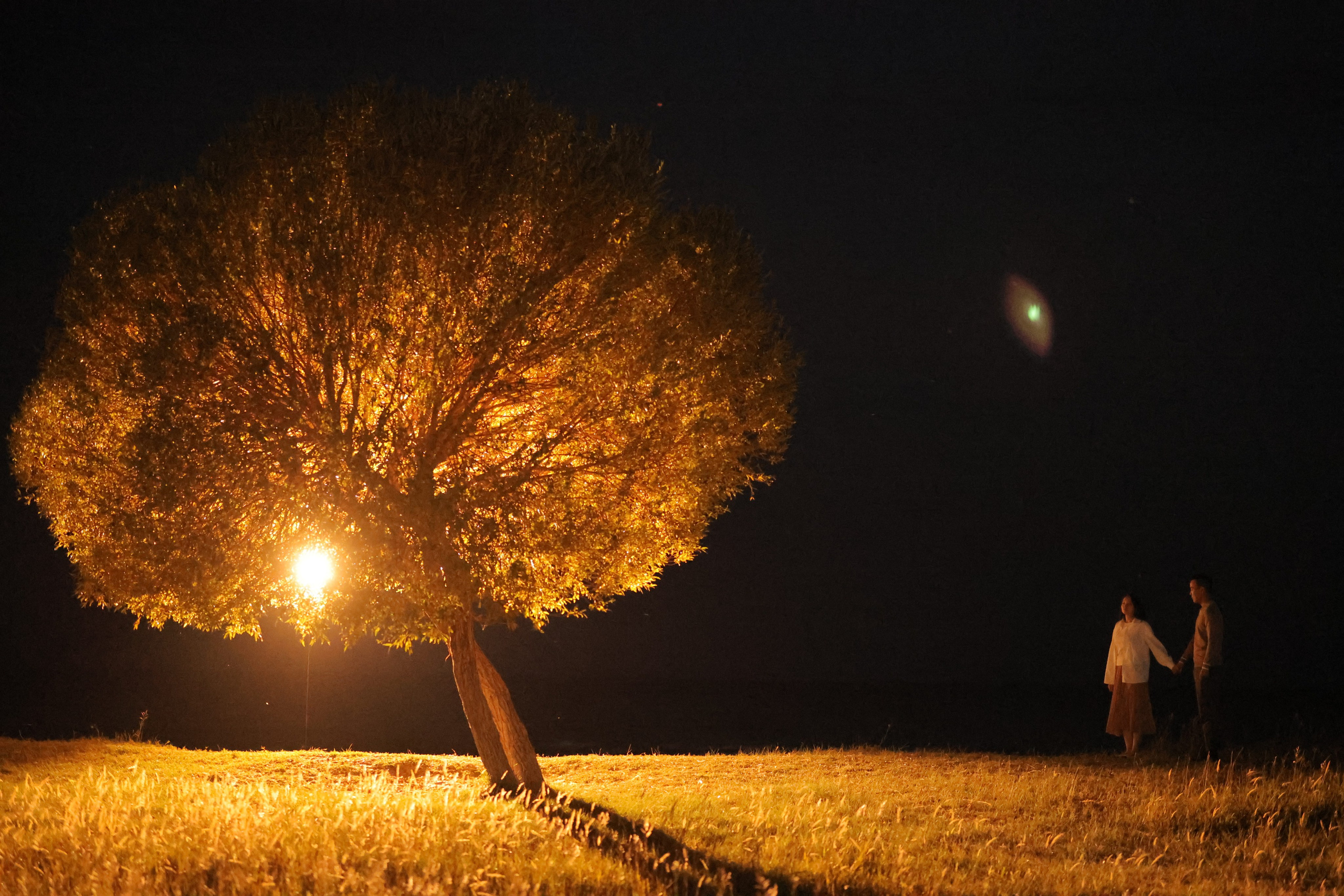 ISSIK KYL. Mandarin.photo