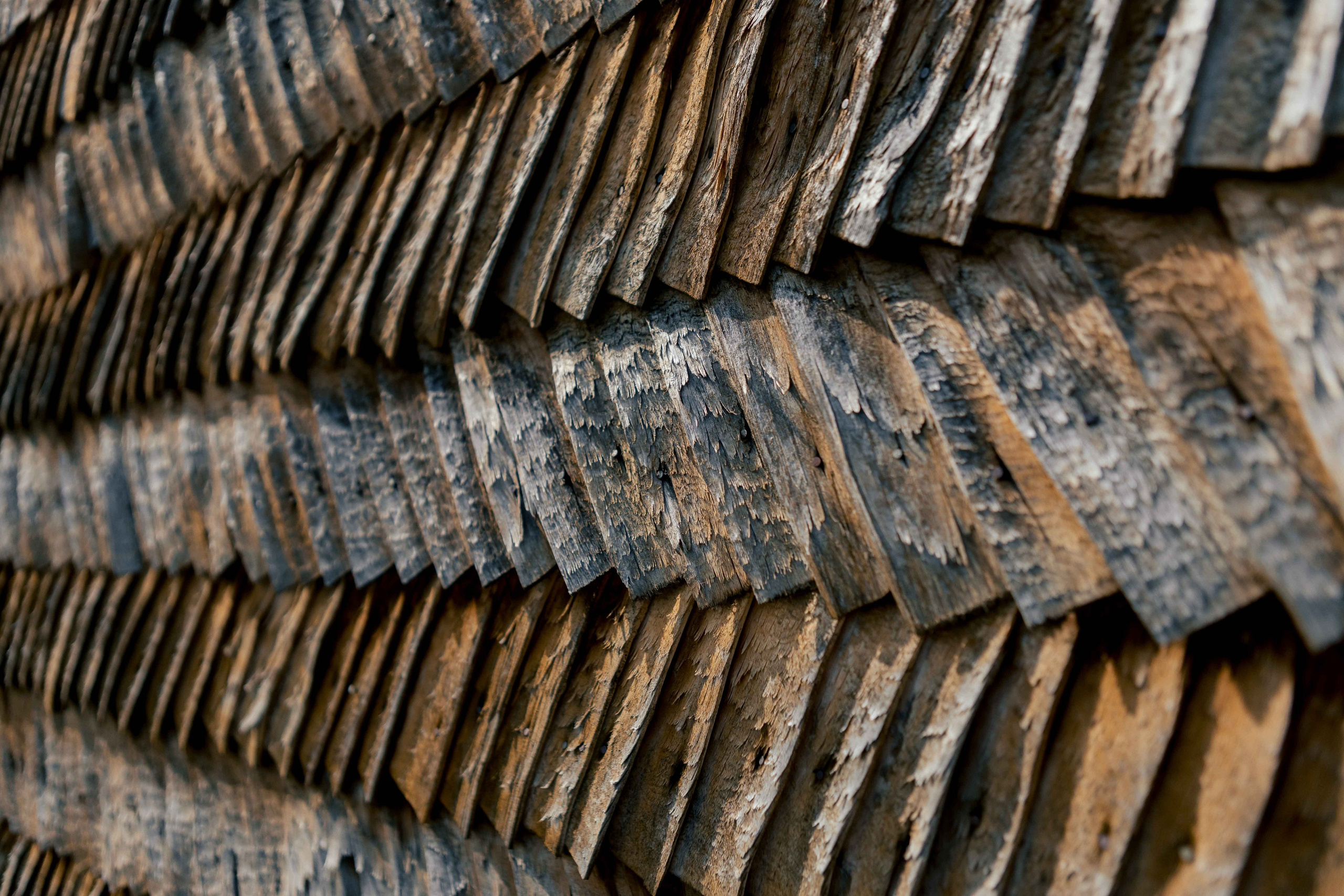 Prywatna firma architekta. Fotograf w Krakowie i Europie