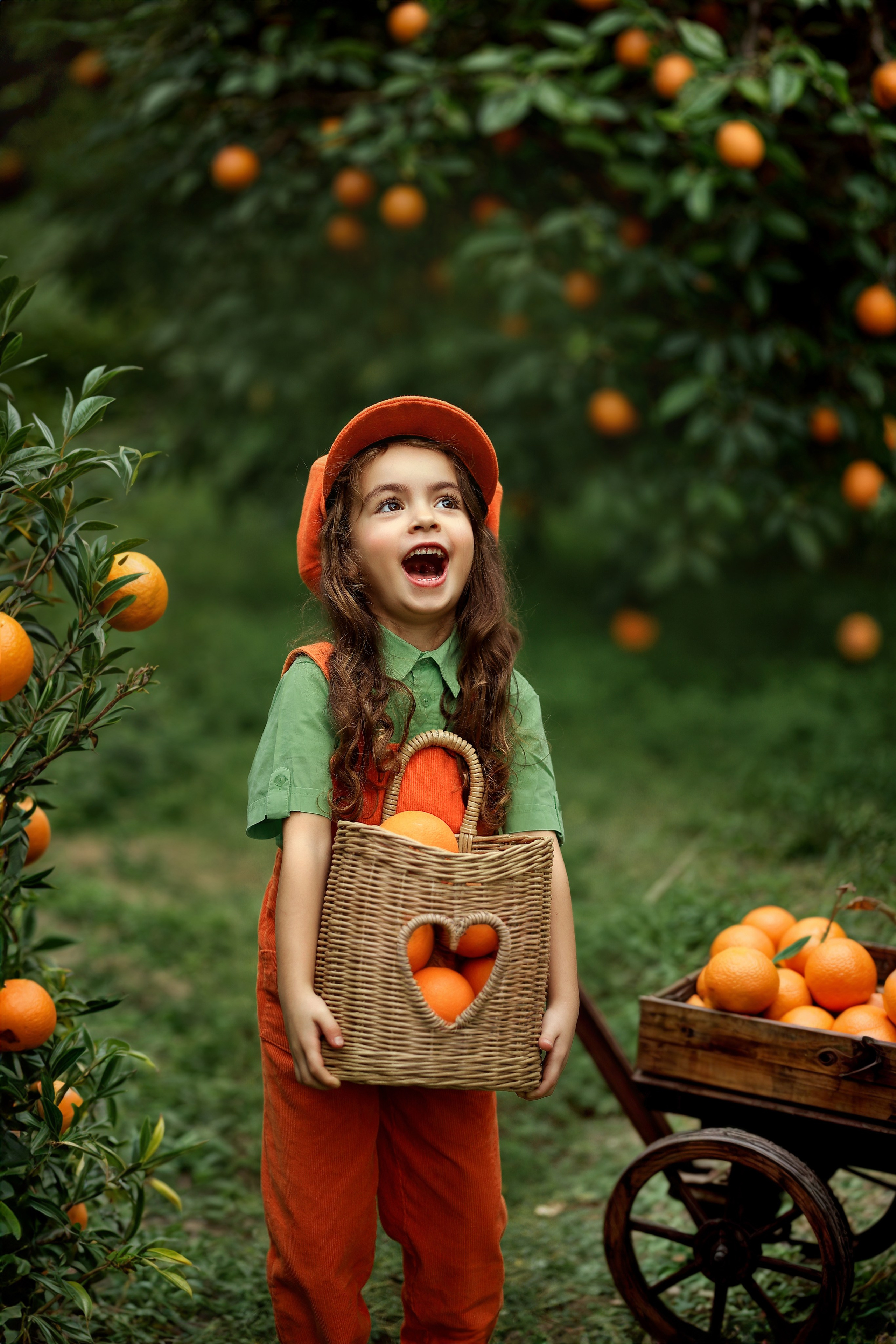 Photoshooting in orange garden. Photographer in Turkey, Antalya, Kemer, Belek, Side, Kas, Fethiye