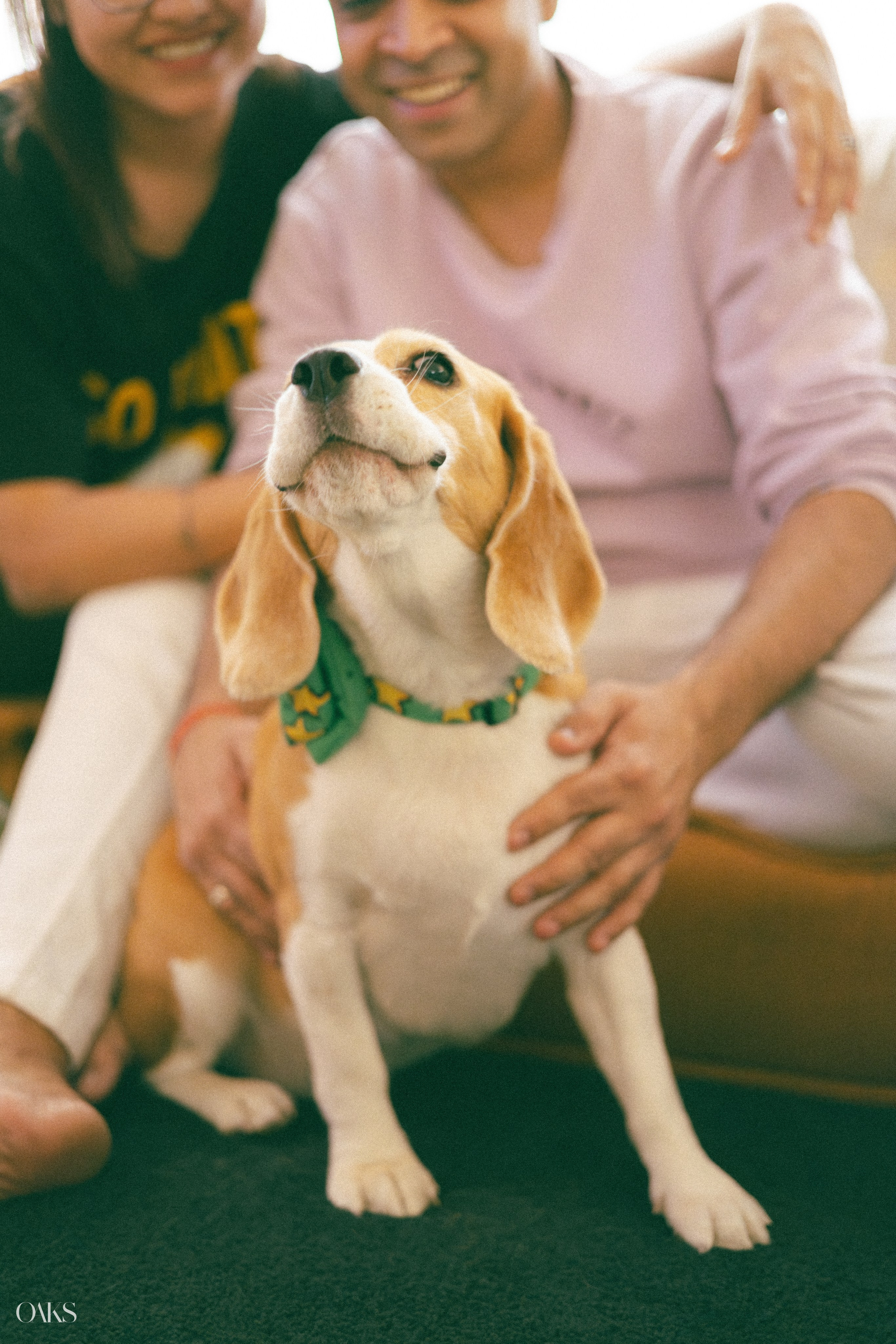 Prerna & Kunal. Wedding & Editorial Photographer | Anandshivadas