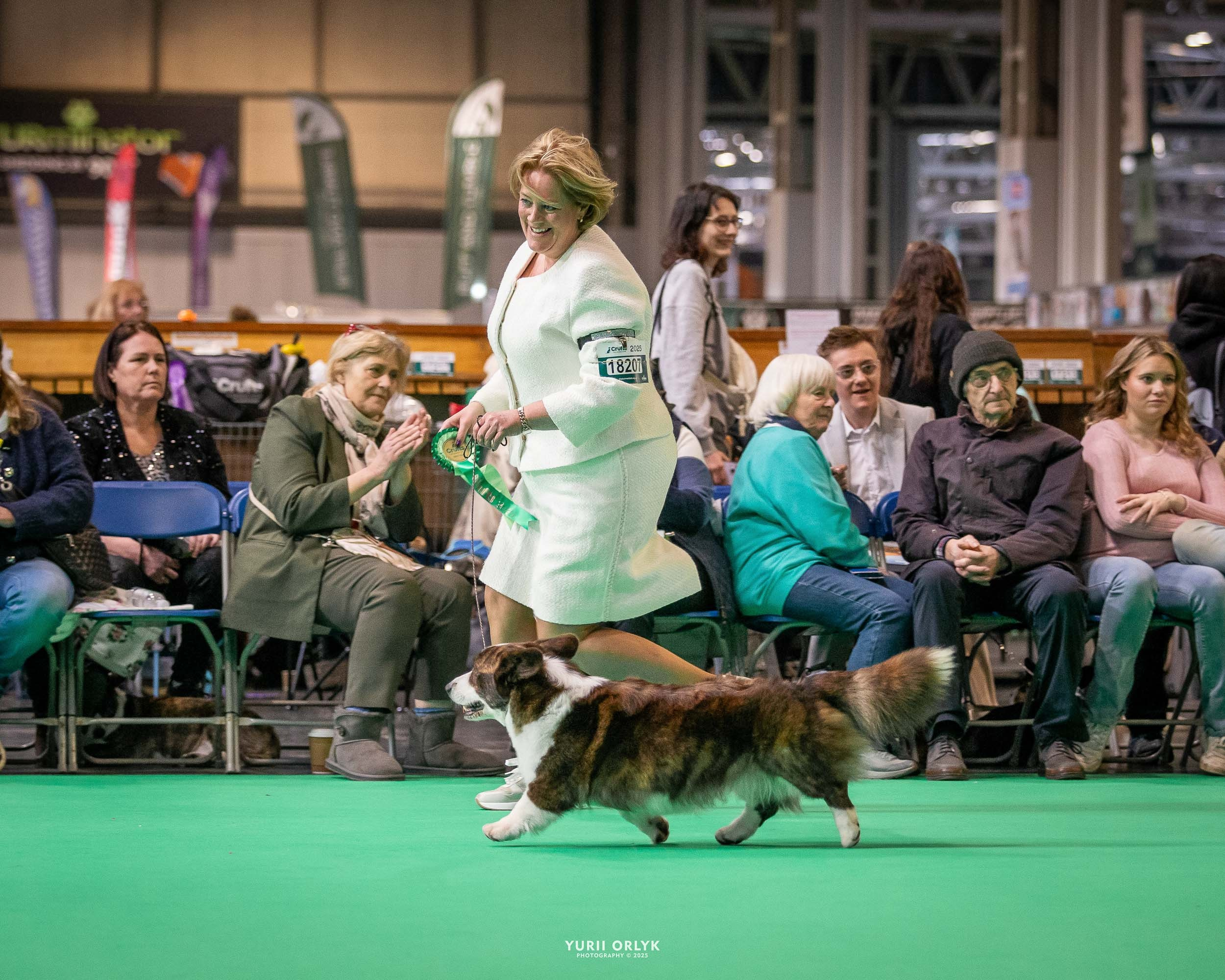 Dog Shows. Yurii Orlyk Photography