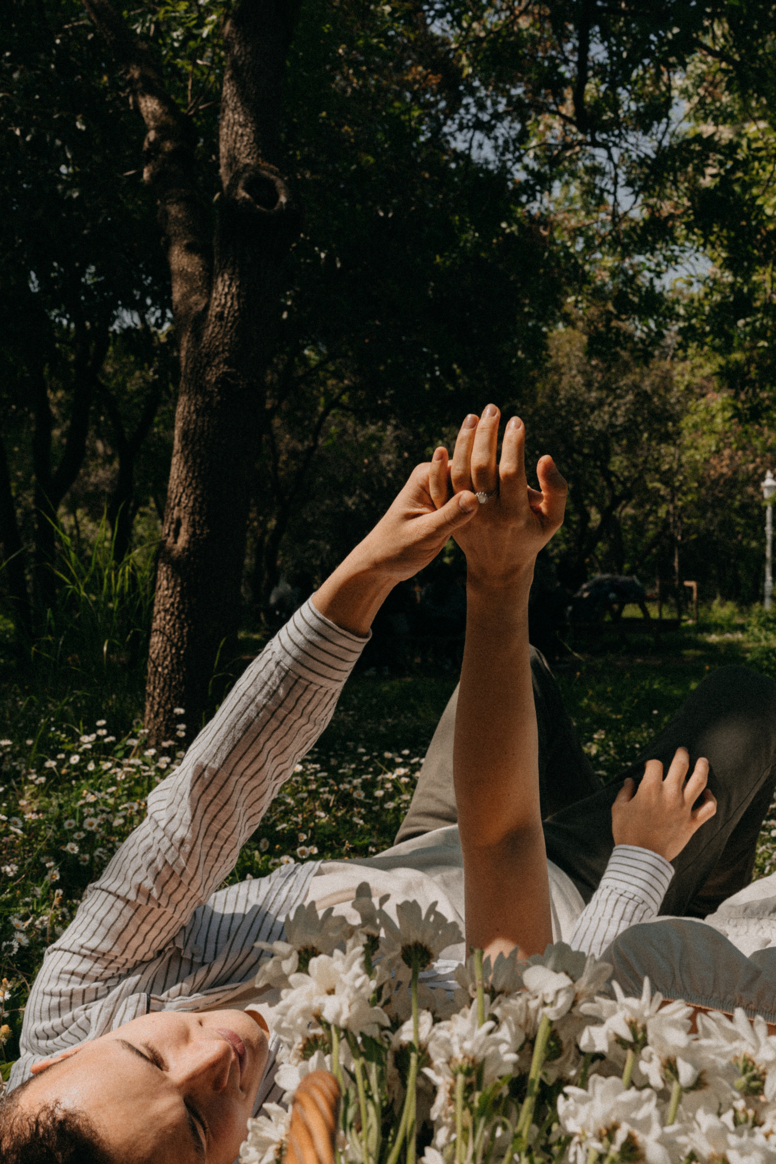 Пикник. Фотограф Москва Ларина Юлия