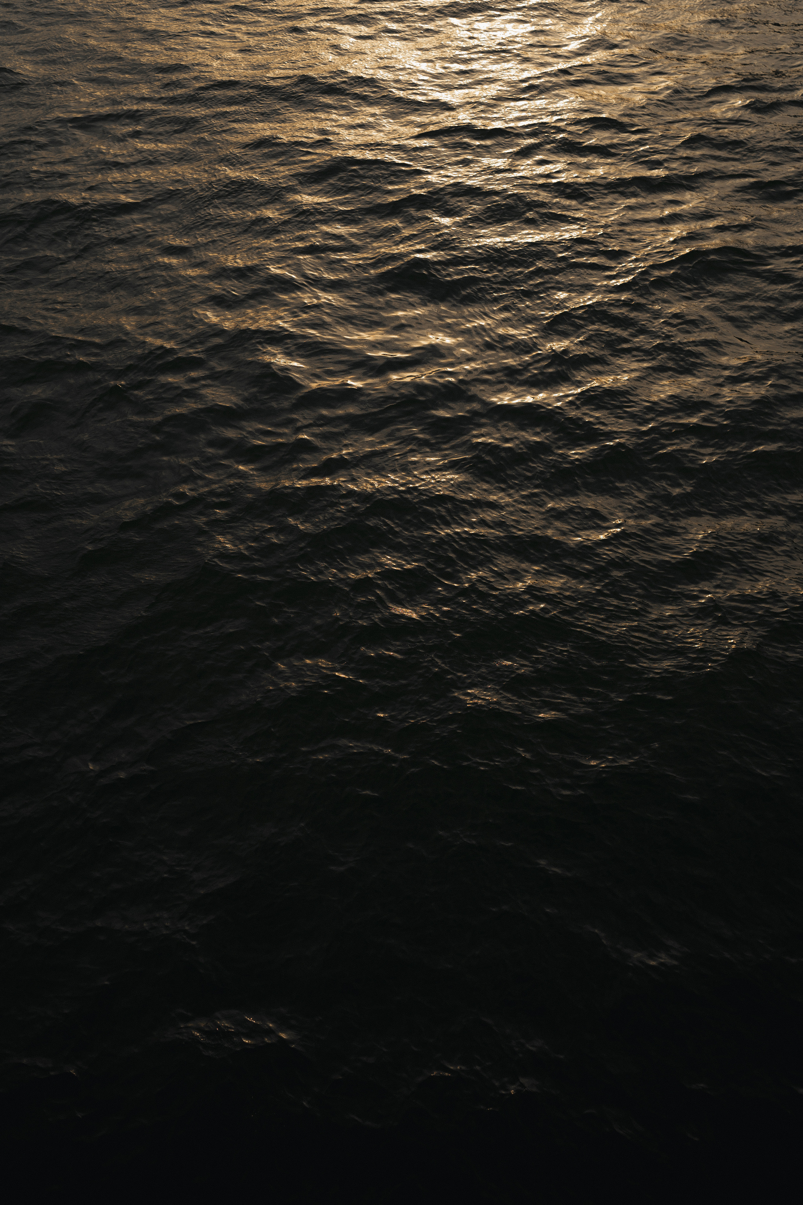 Ксения & Максим. Фотограф Москва Ларина Юлия