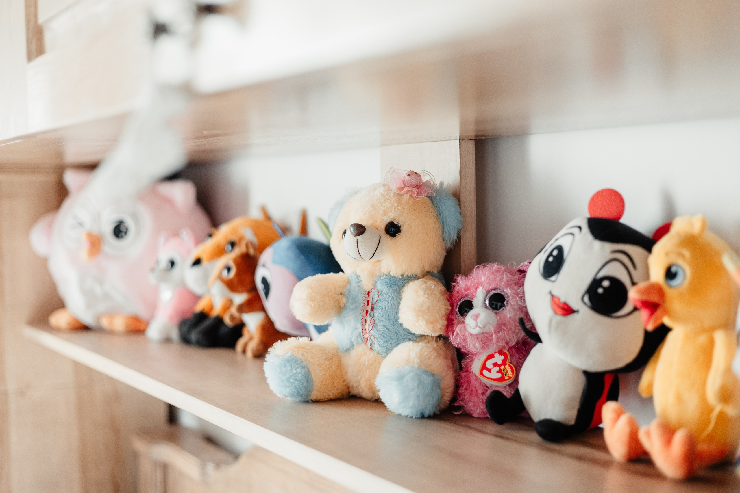 Dominic-Gabriel. FotoACTIV.ro - Imaginea ta contează