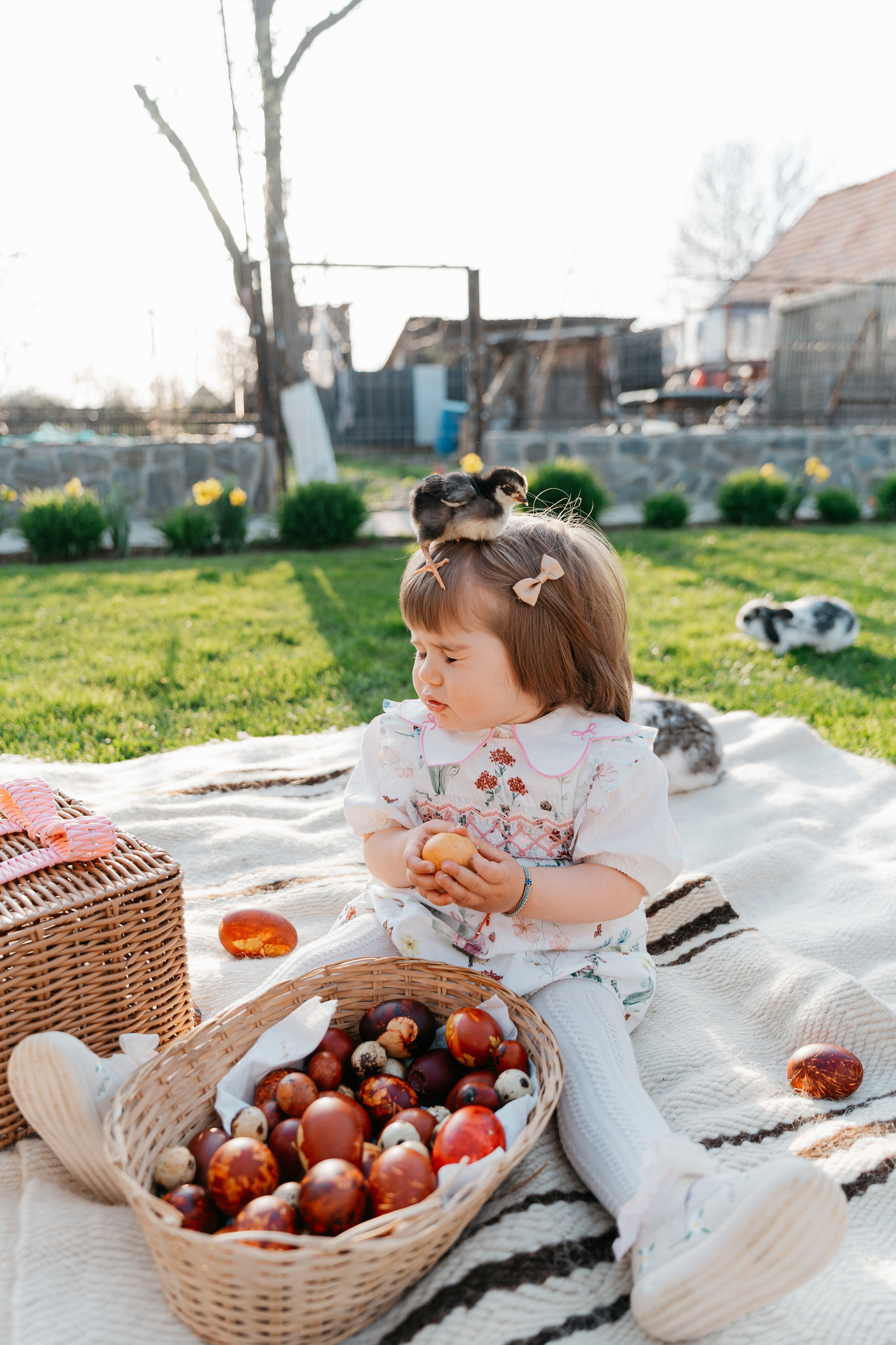 EASTER. Ars Vidi | Digital Solutions